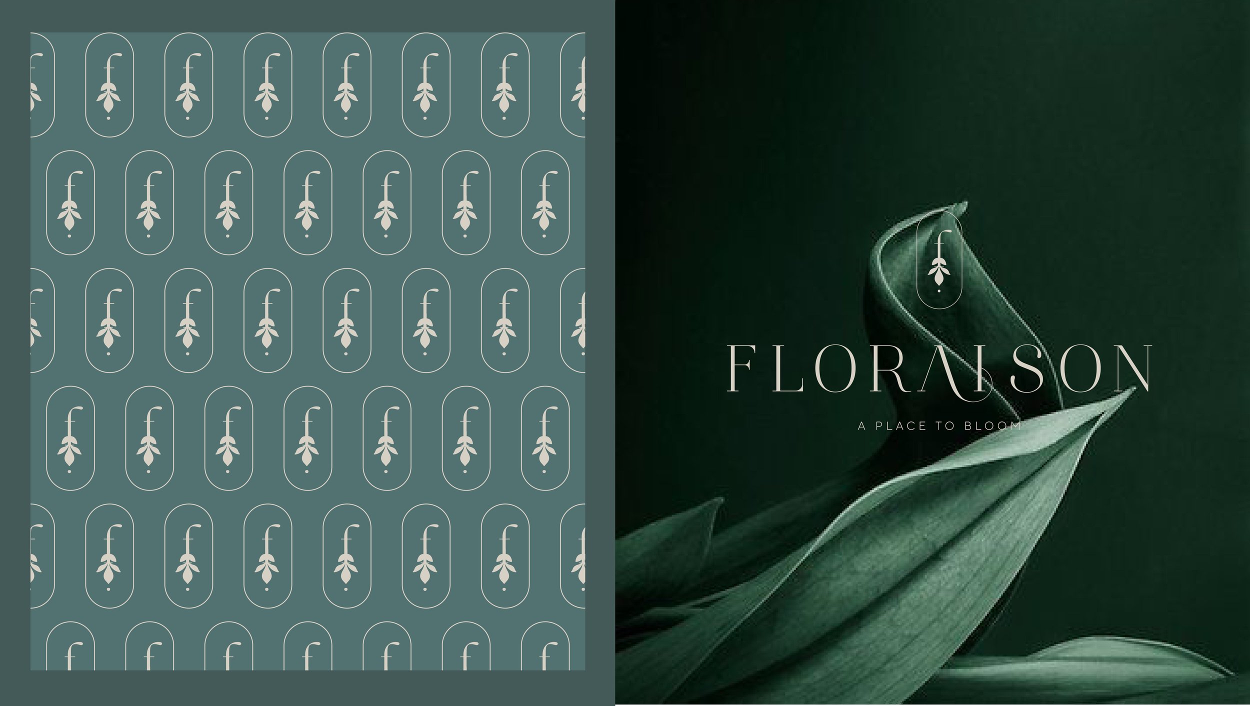 Floraison_Layout_202410.jpg