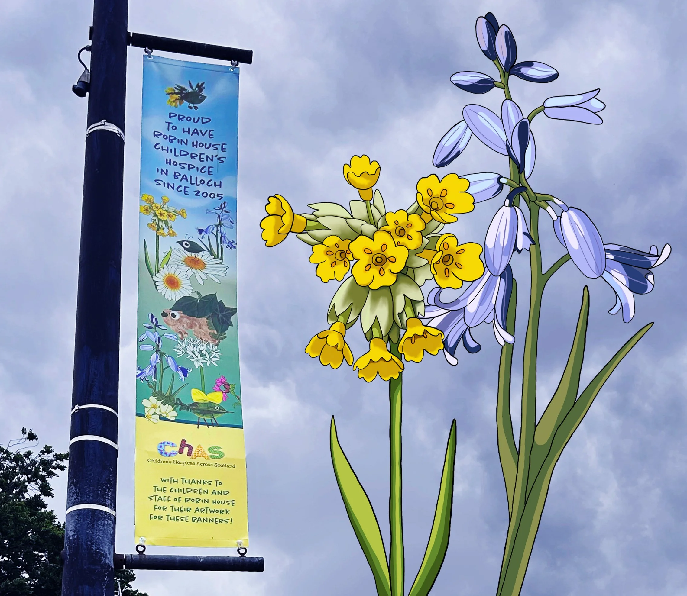 Banner-CHAS-with-illos.jpg
