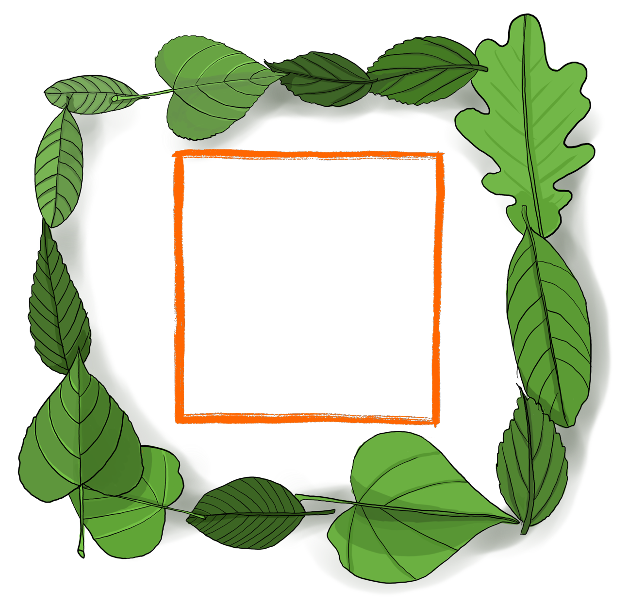 Square-leaves.png