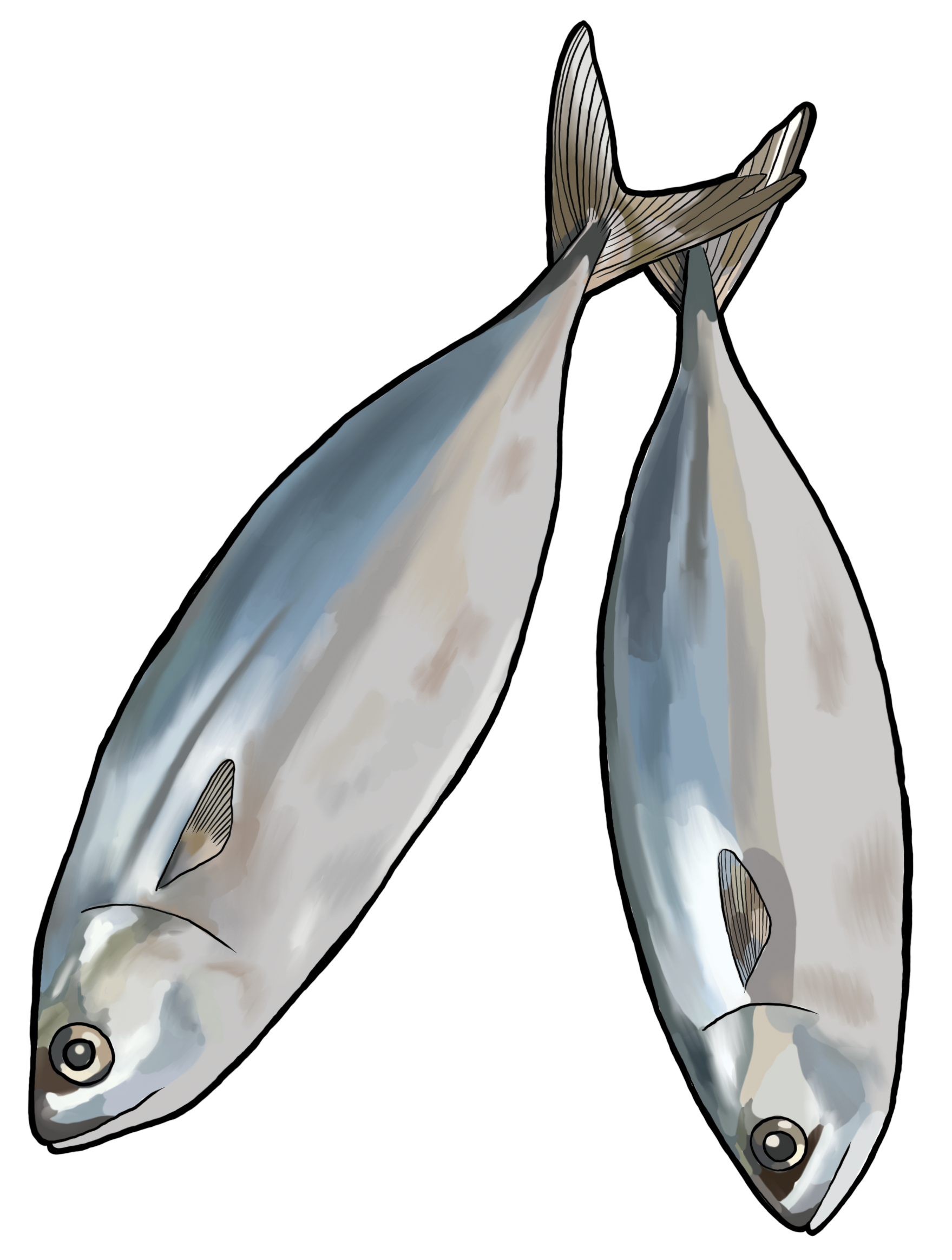 Fish.png