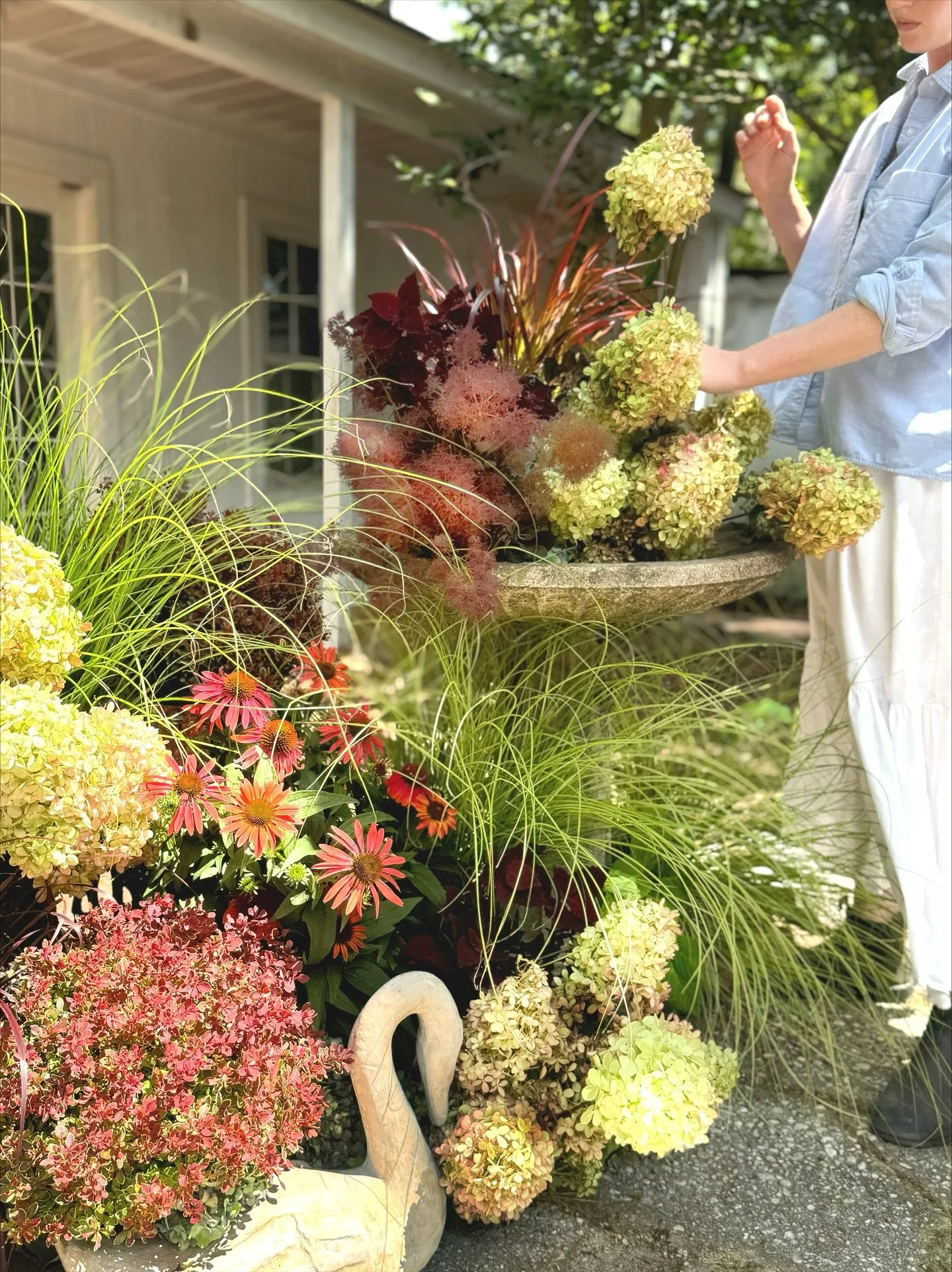 Leaning into that Taylor Swift engagement kinda vibe🤭 I used a well-loved bird bath and an antique 🦢 figure as a base for this installation, creating a sort of wistful and storied element. Then I loaded up with lots of varied textures and foliage f