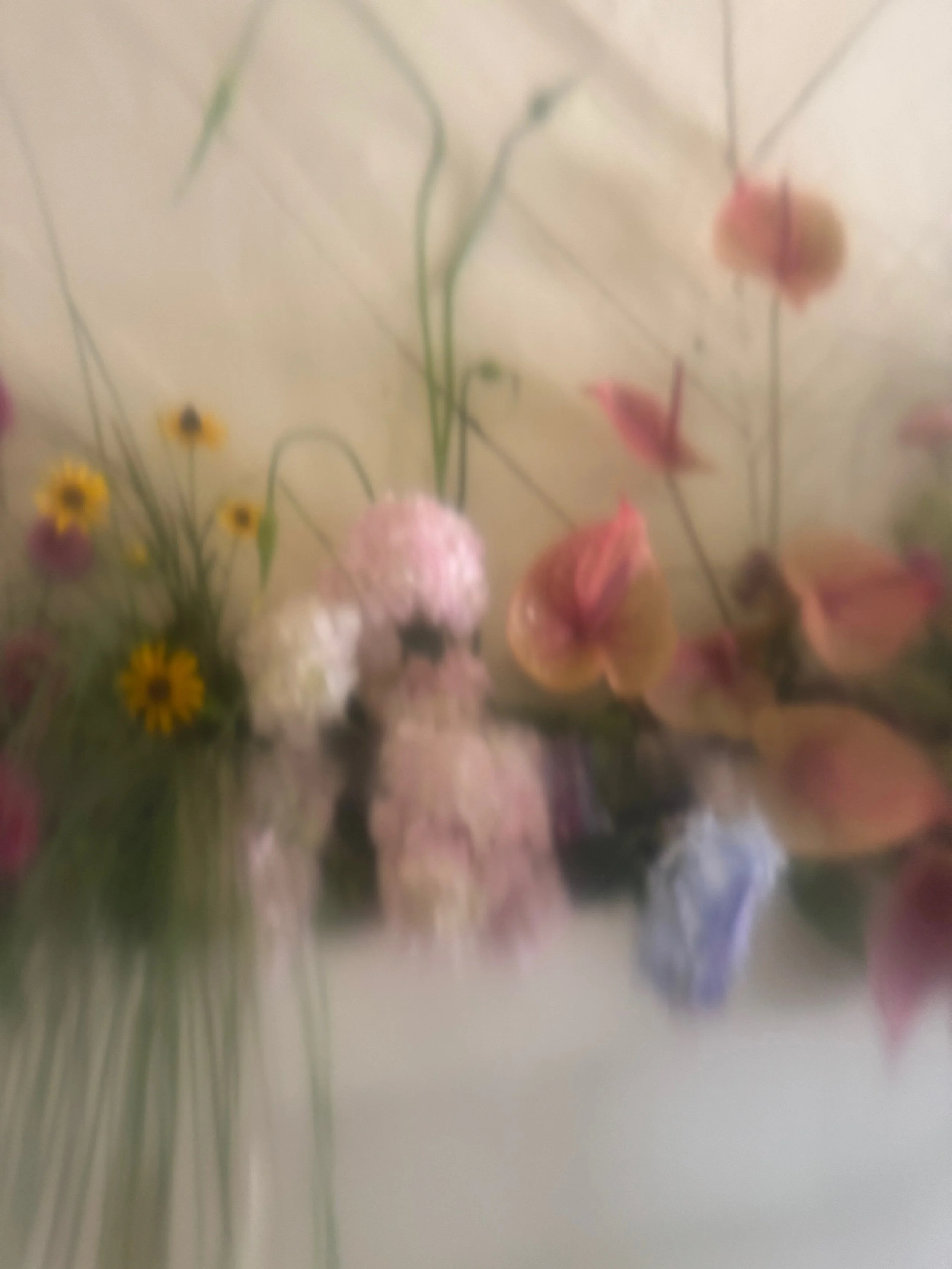 IMG_1737.jpeg