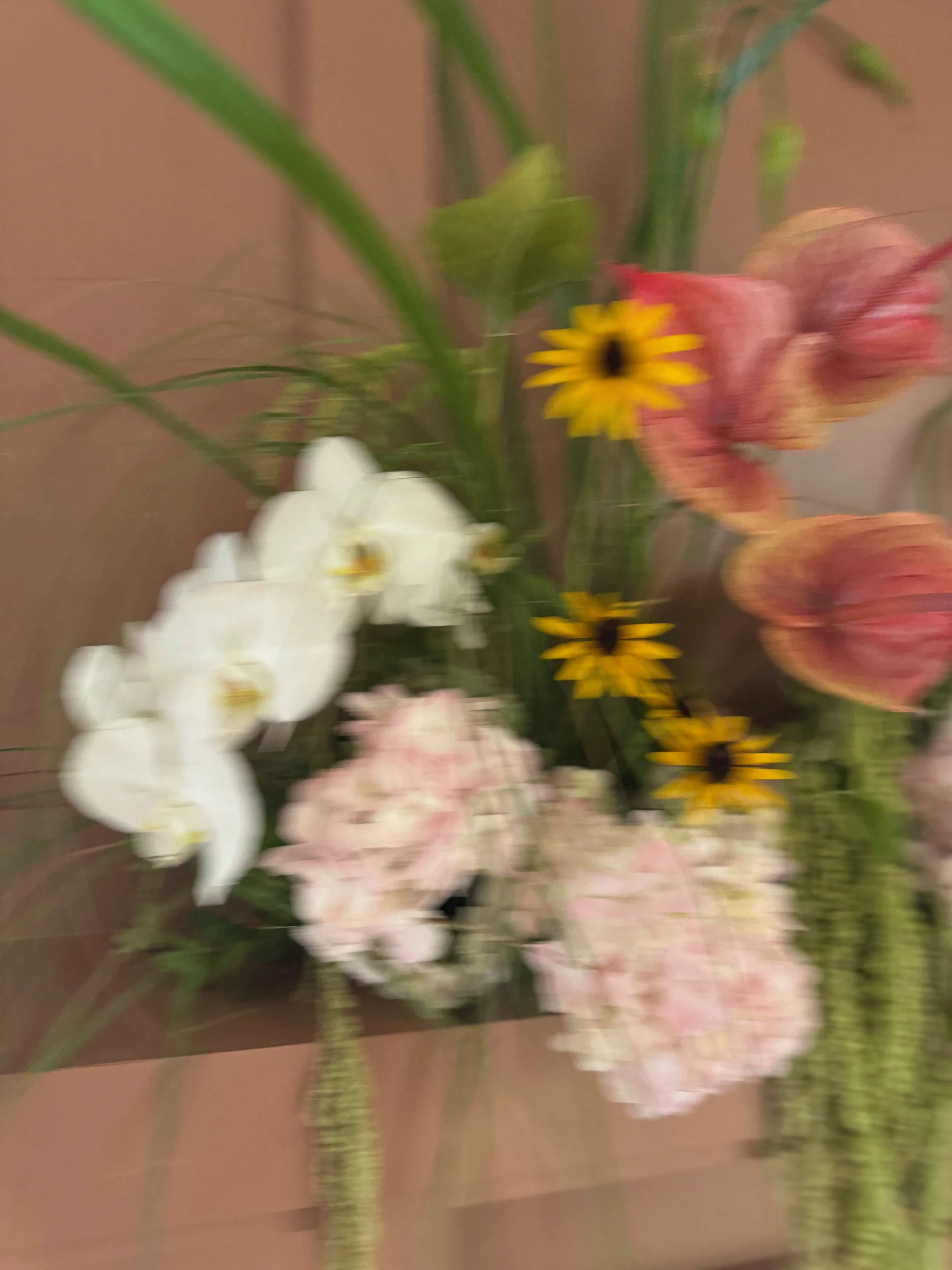IMG_1879.jpeg
