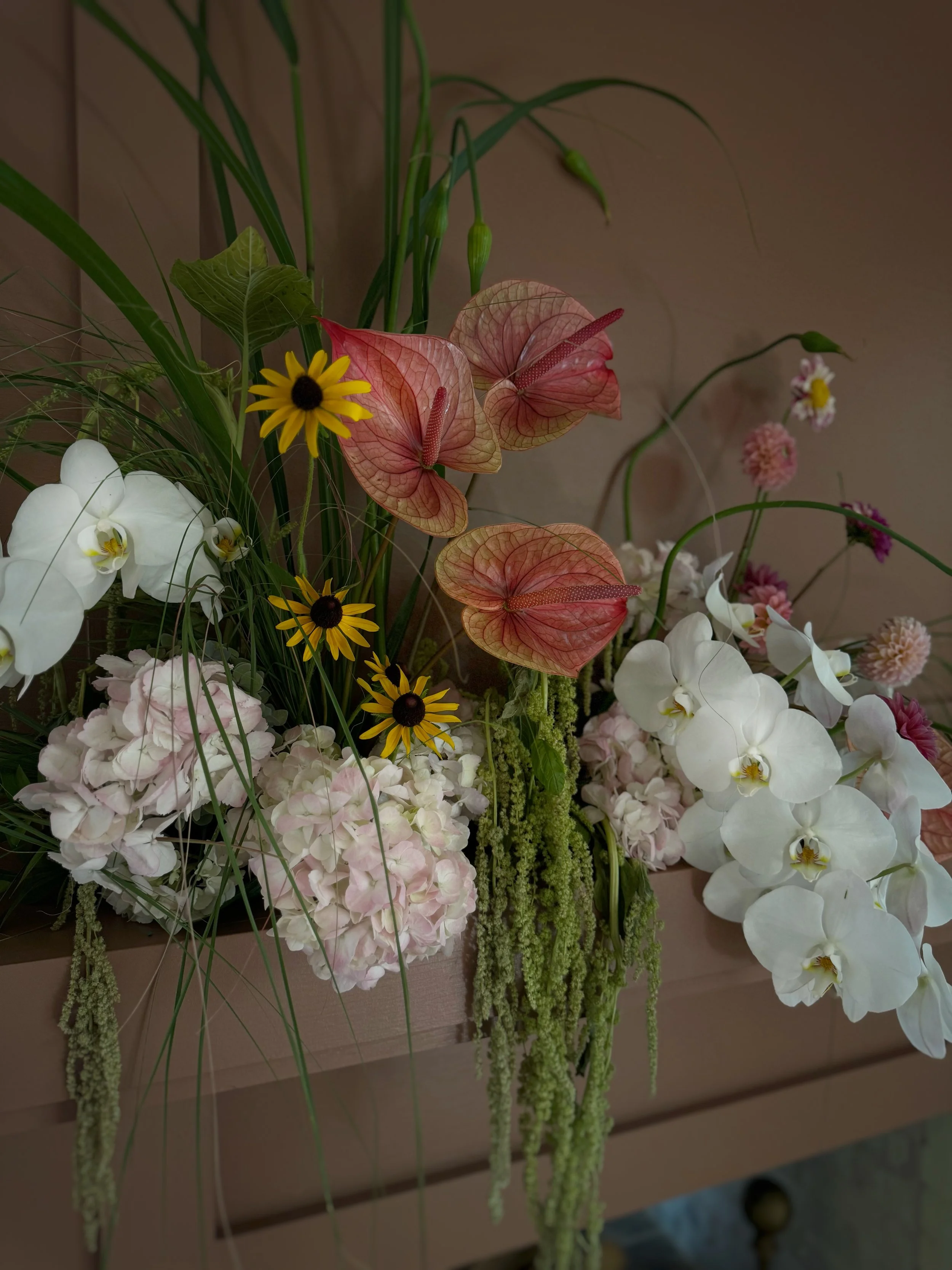 PenultimateFullSizeRender 3.JPEG