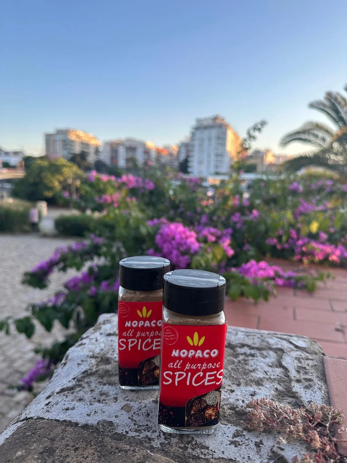 Two bottles of Nopaco all purpose spices placed on a stone surface with a blurred background of pink flowering bushes, trees, and tall buildings under a blue sky.