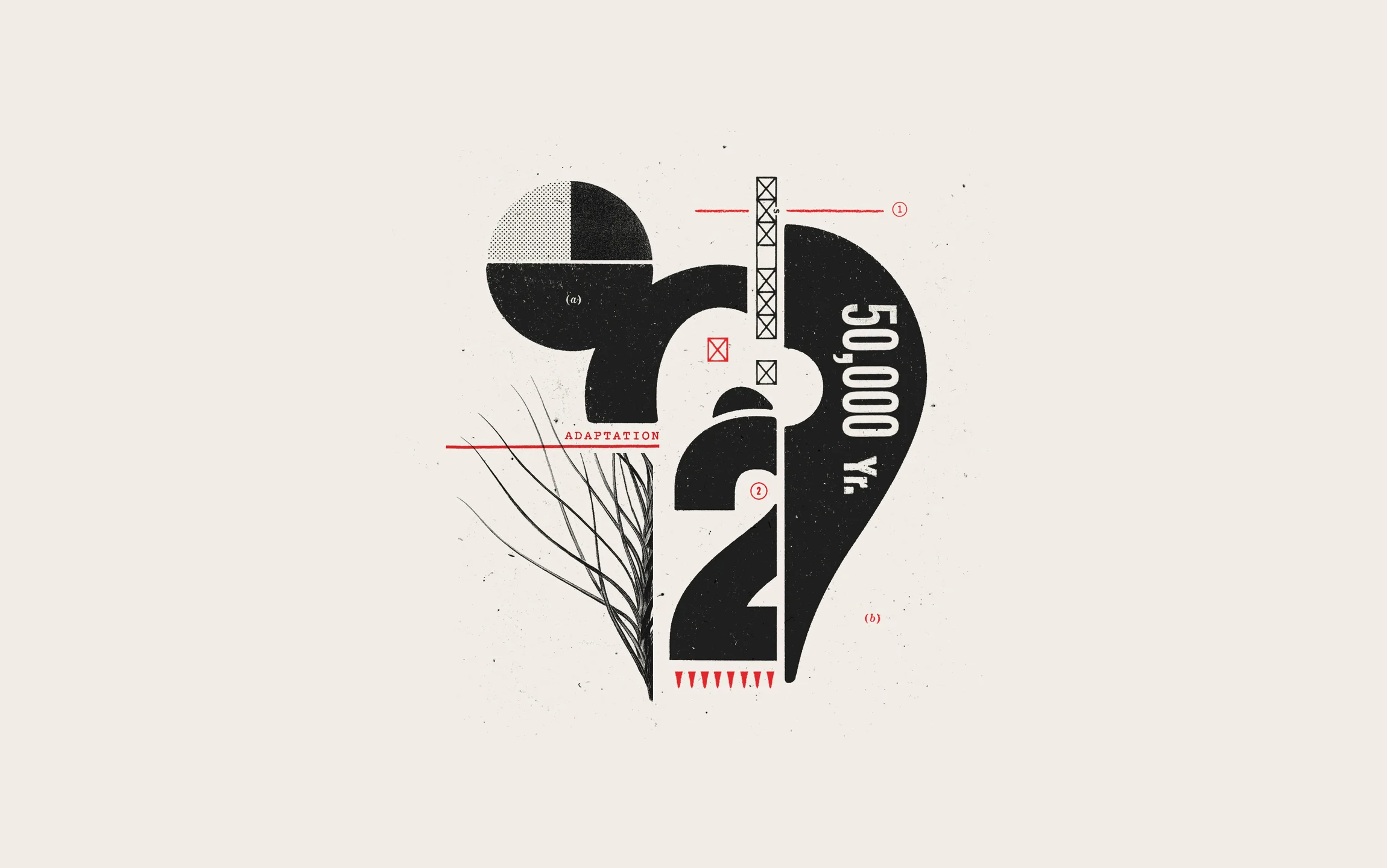 illo-portrait-numbers-copy.jpg