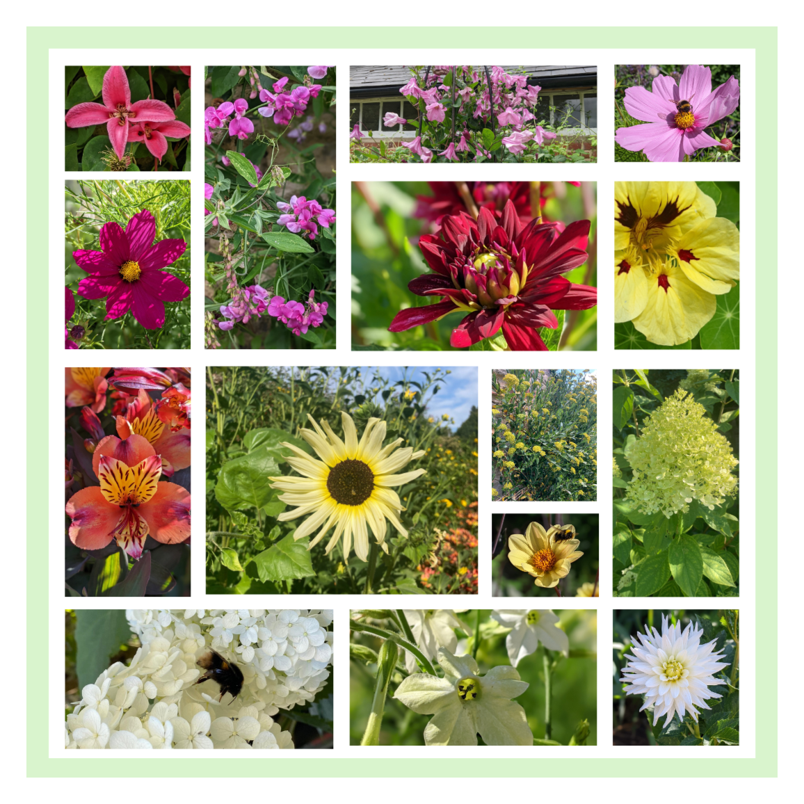Bio-diversity Walk
