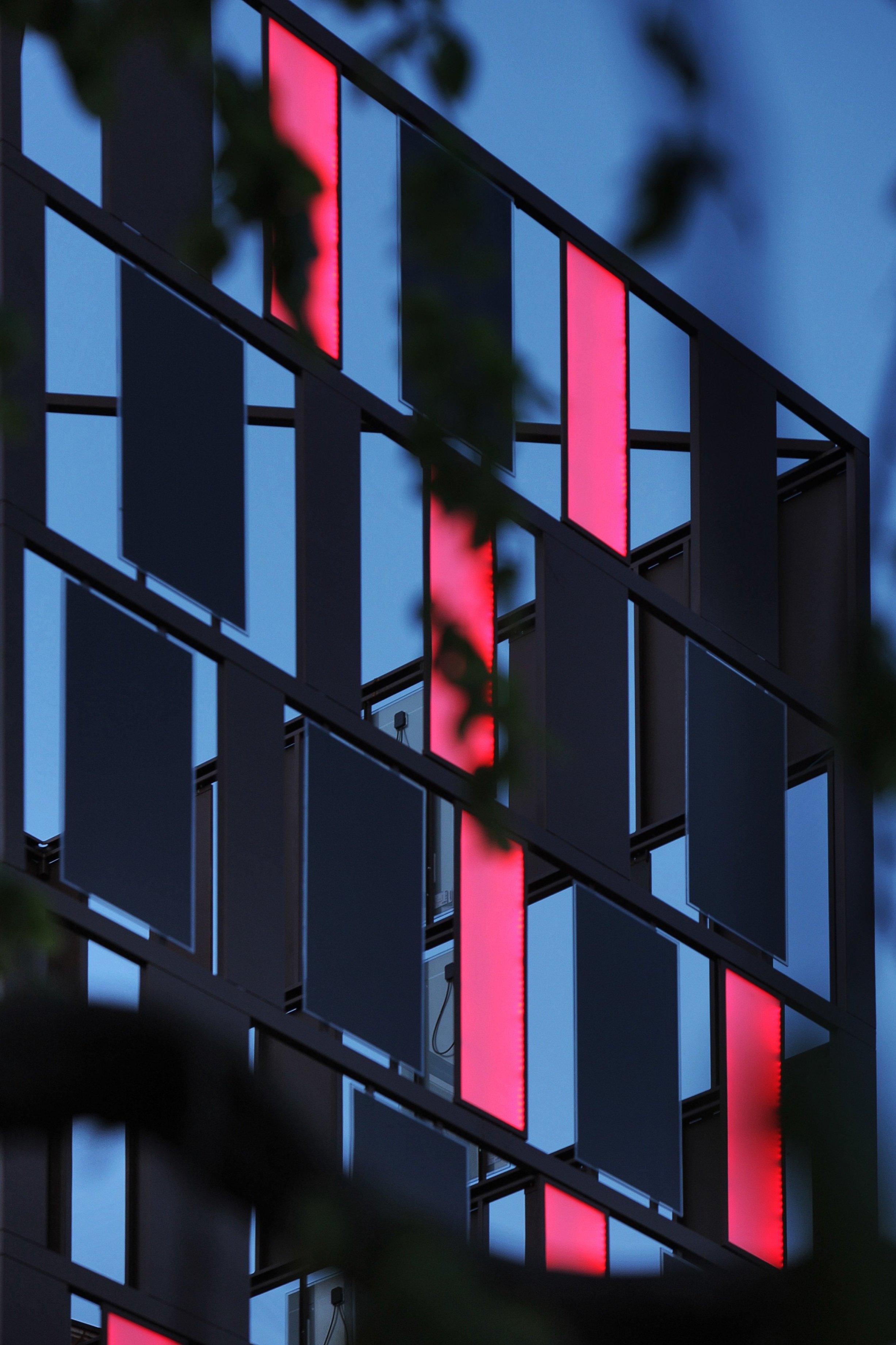 trazzi_0543.jpg