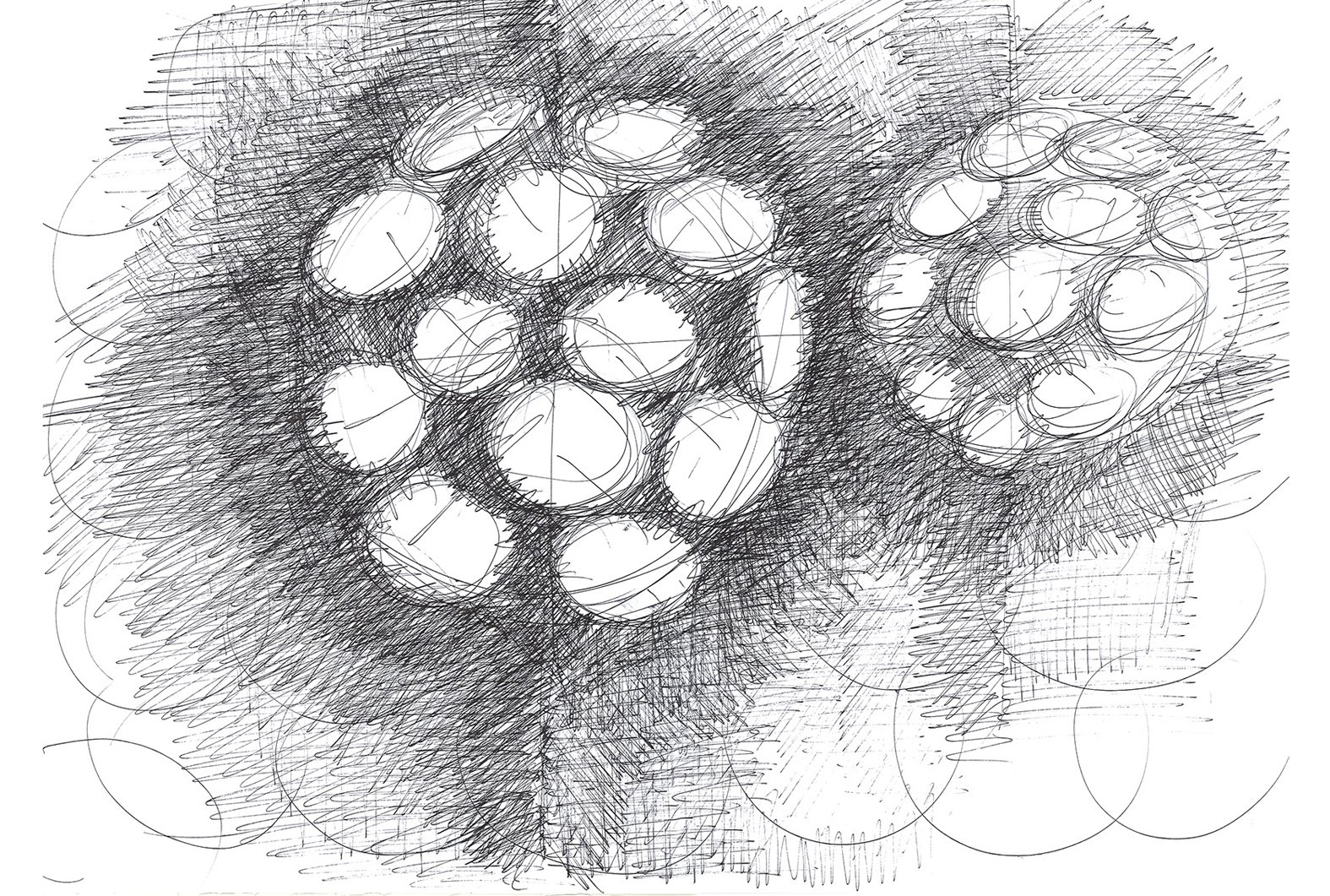 DANDELION 3.jpg