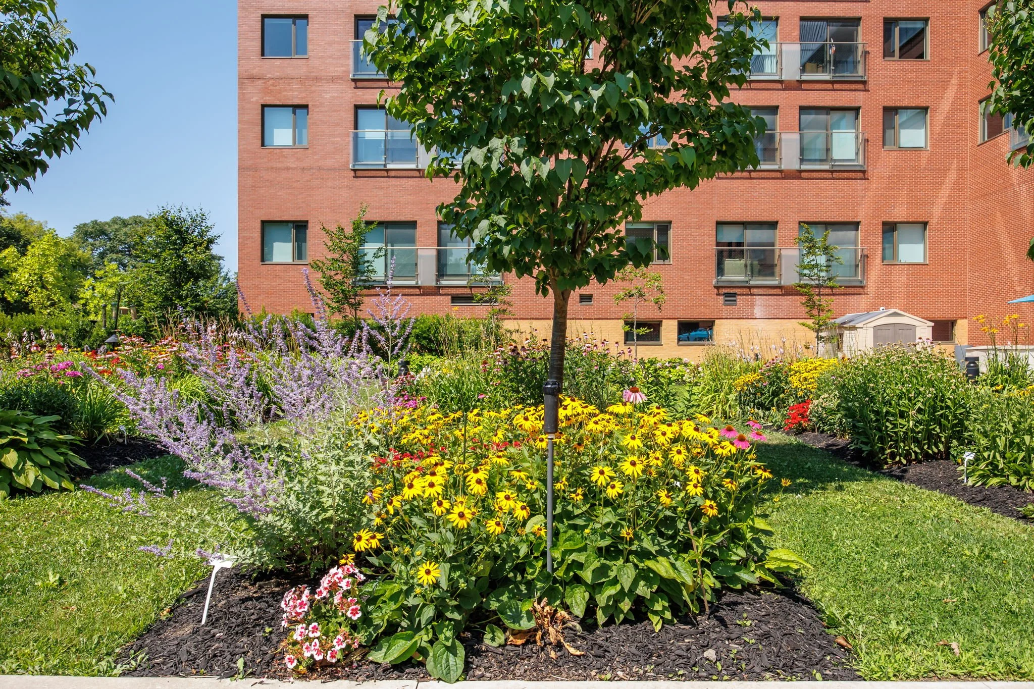 senior living toronto