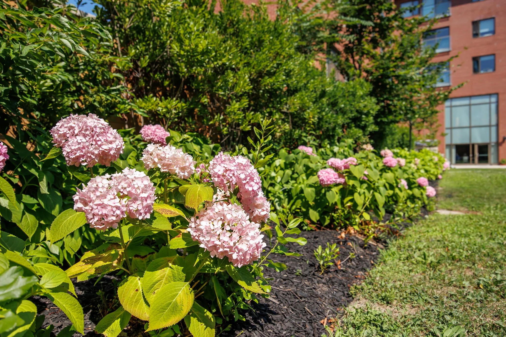 3 - Presentation Manor.jpg