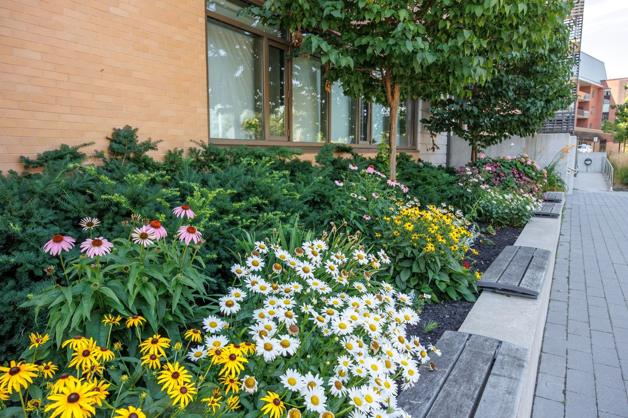 senior home living toronto