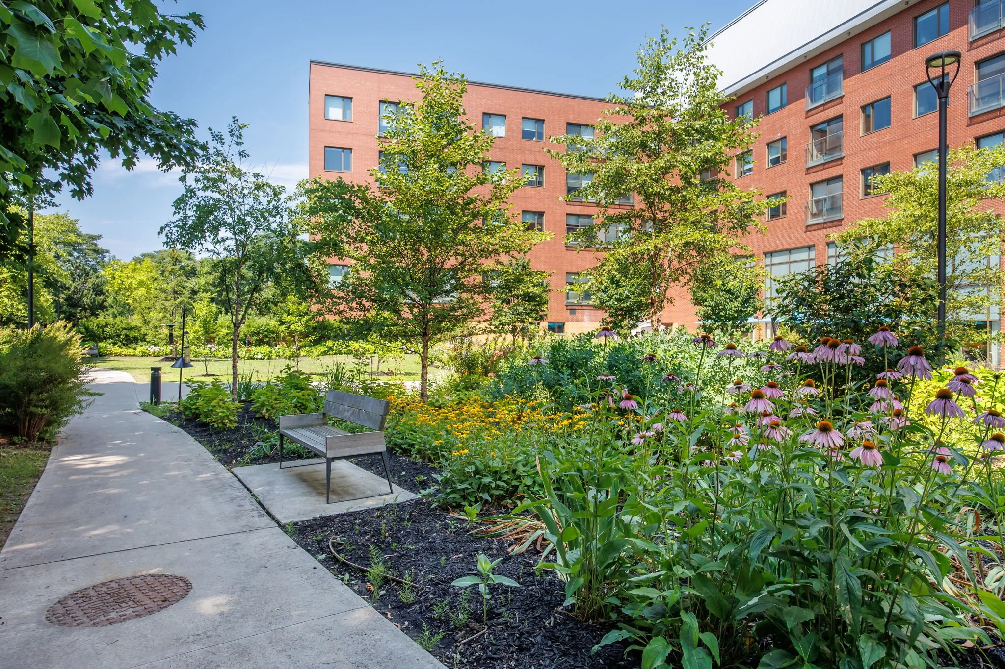 senior living home in ontario