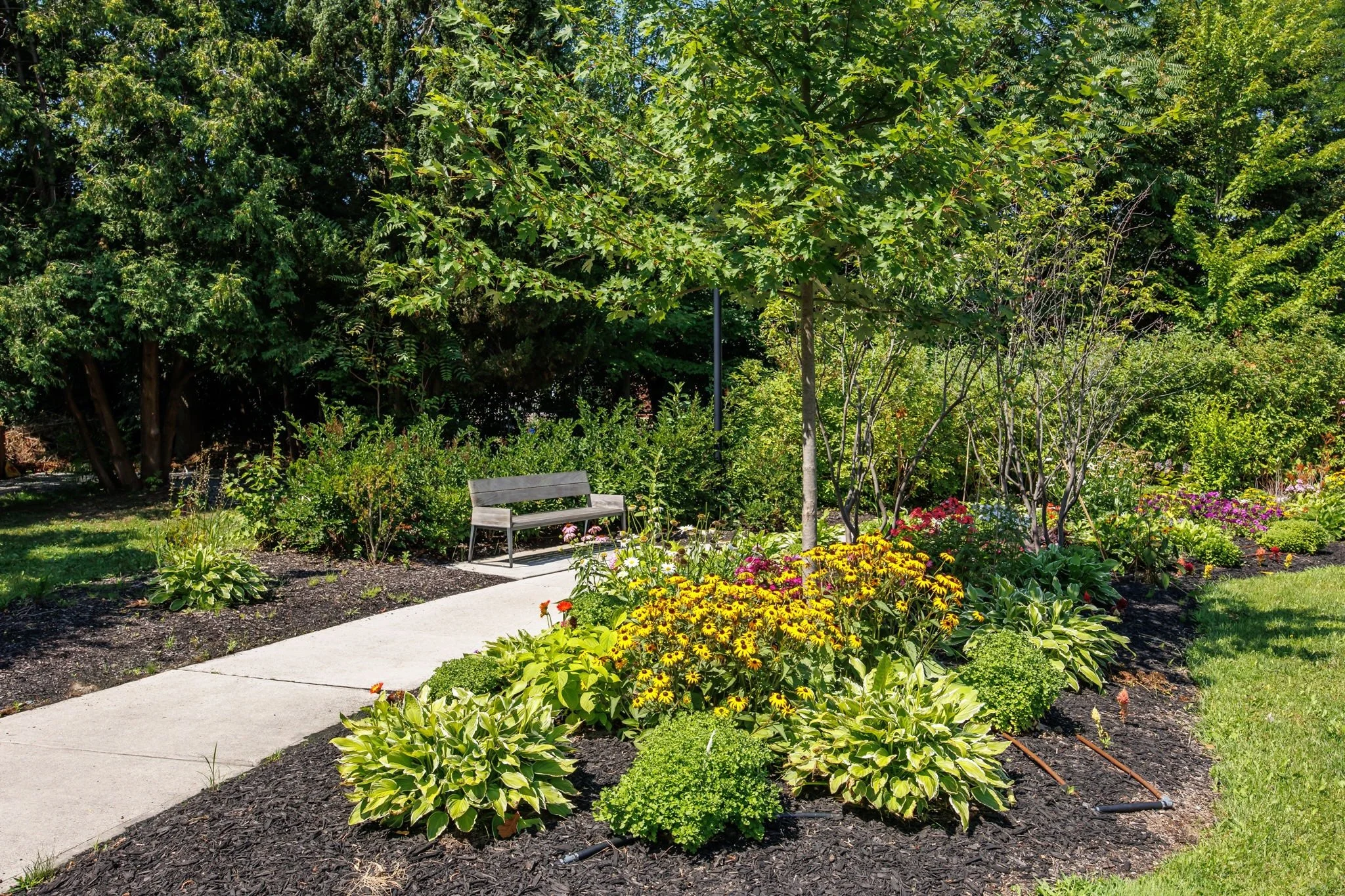 1 - Presentation Manor.jpg