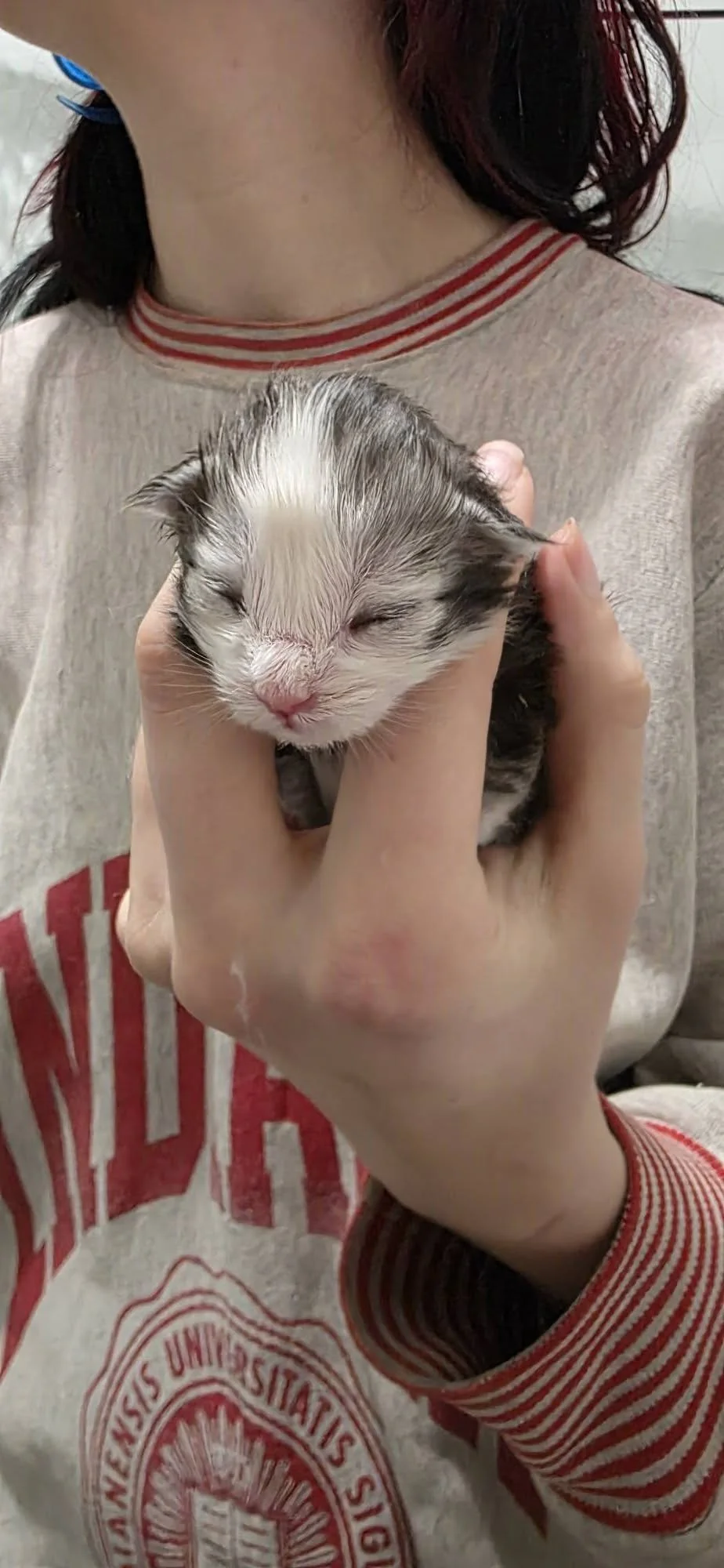 A person with red hair holding a tiny, wet, and sleepy puppy with closed eyes. The person is wearing a gray shirt with red and white striped cuffs and collar, and the puppy has a white face with black and gray markings.