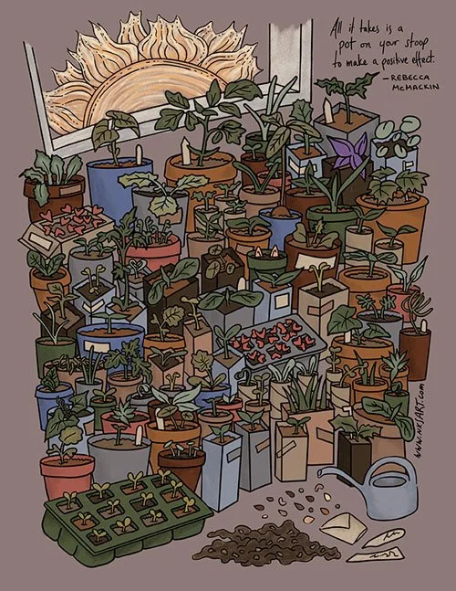 Seedling Pots