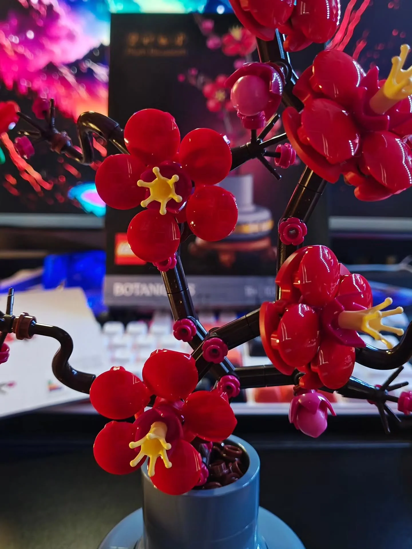 This year I didn't plan any streams on my birthday I just did an impromptu hang out stream while I built some stuff I've gotten from friends from years ago!

Thank you to @xjess1kittyx  for the Roses that were sent to me many years ago, and to Vivi f