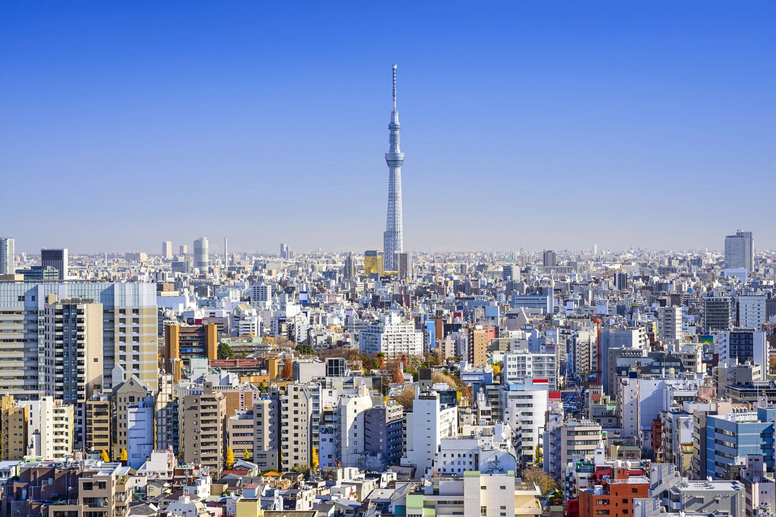 tokyo-japan-cityscape-in-the-day-2026-09-25-02-30-19-utc.jpg
