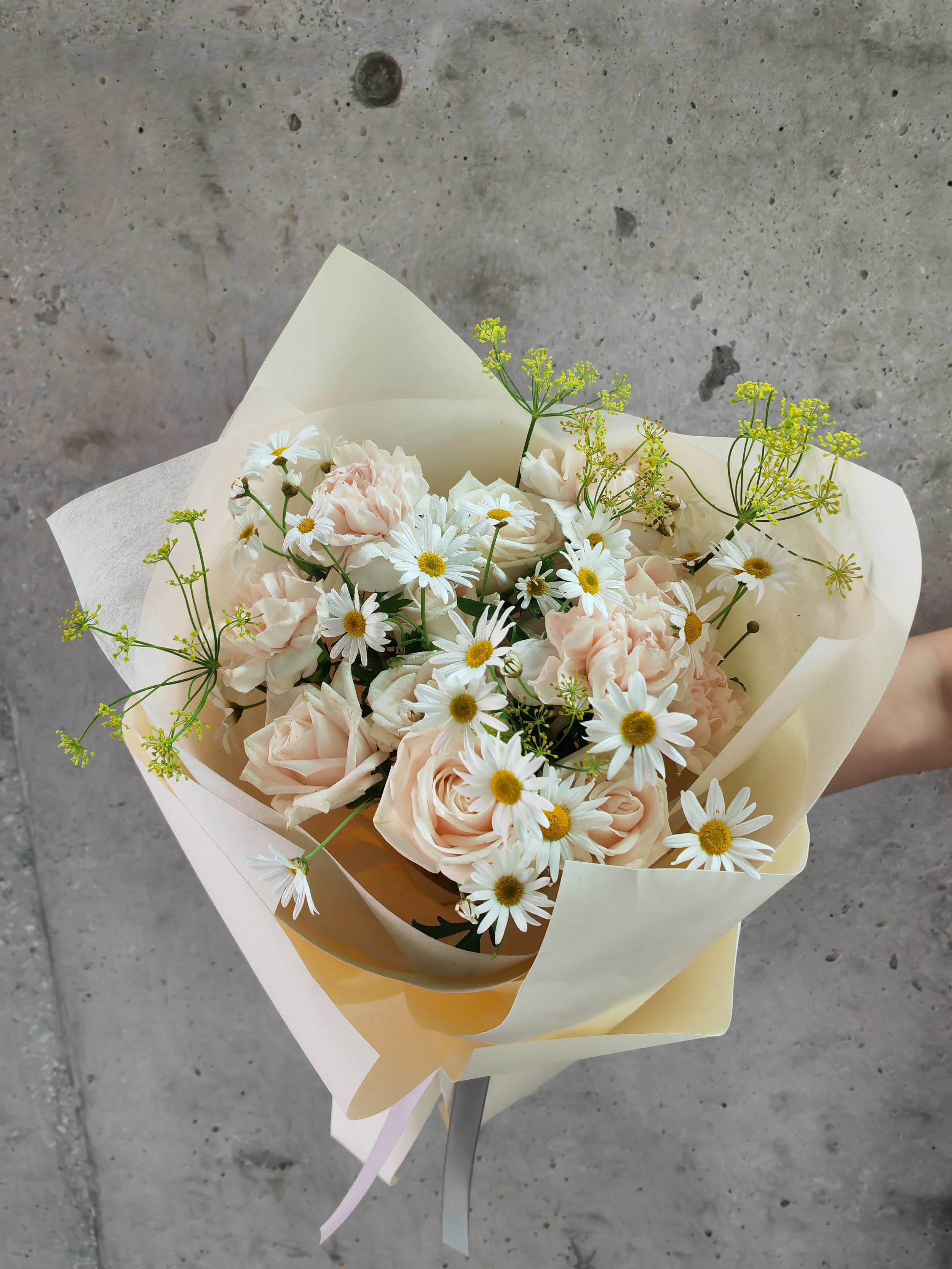 IMG_20241104_124248 (1).jpg