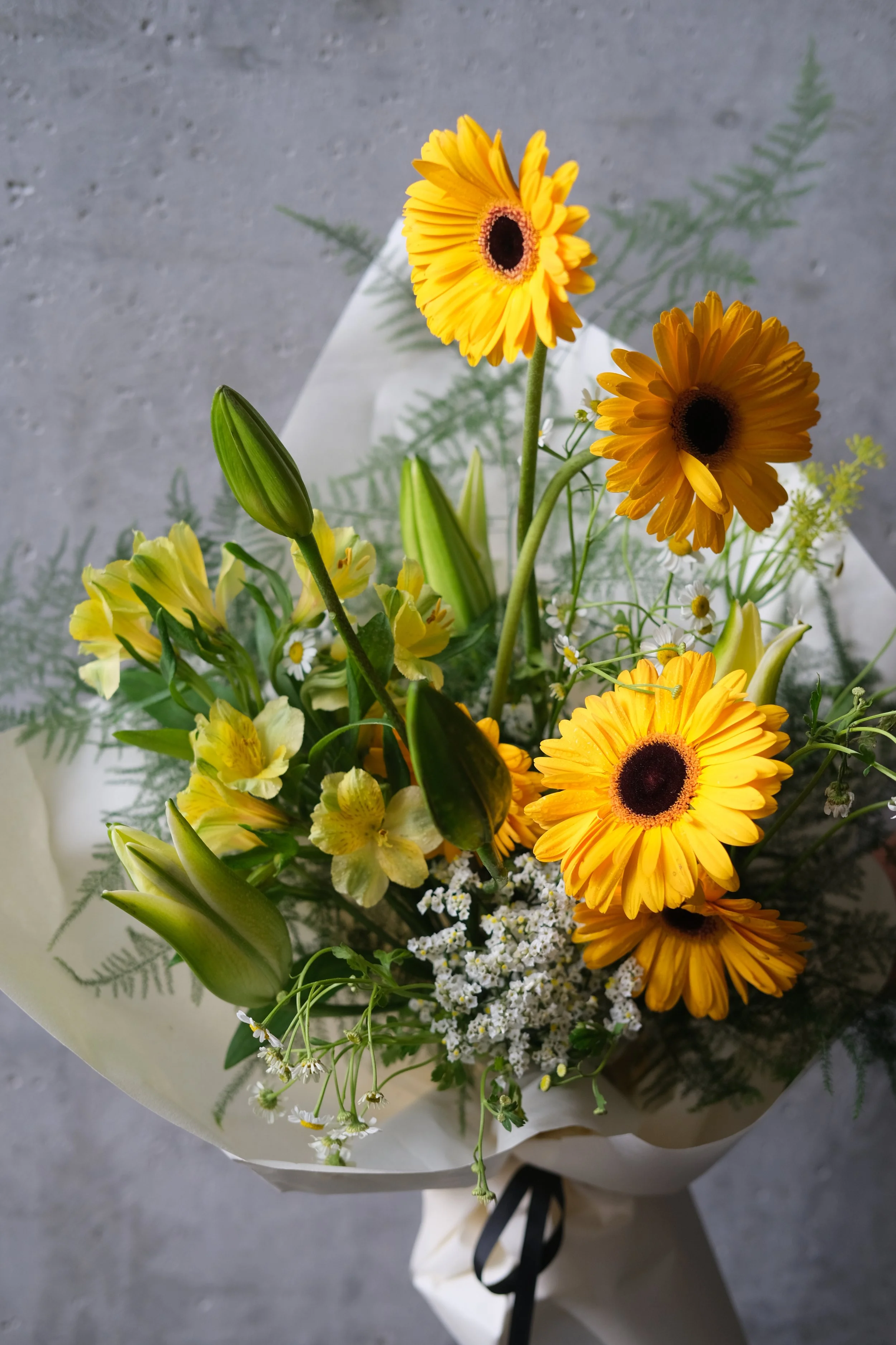 DSCF5156.JPG