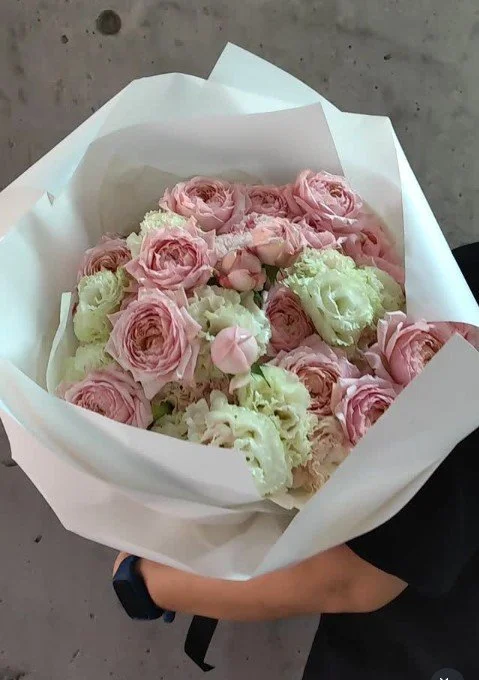 Briar rose new.jpg