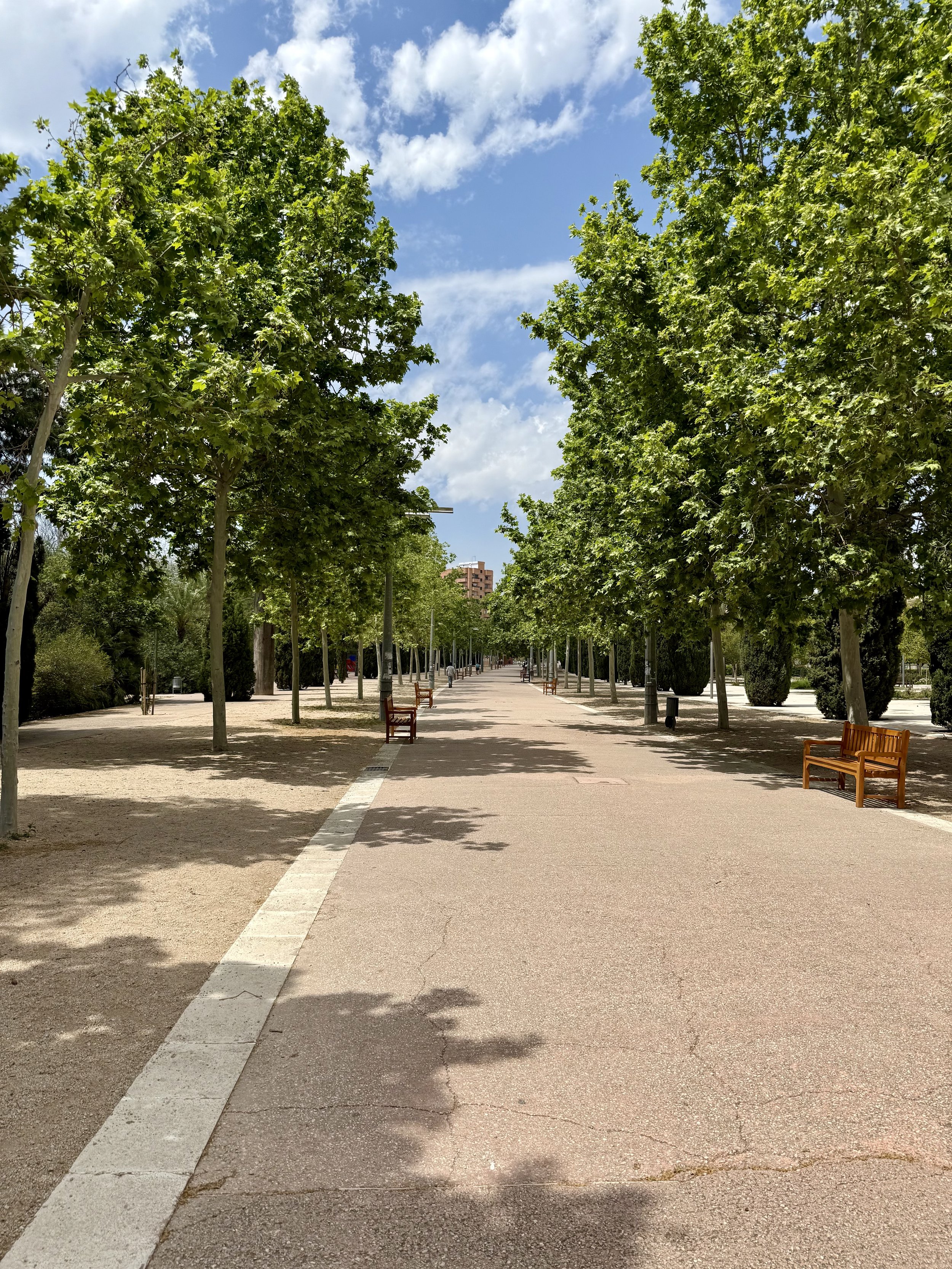 ✨ Why I Moved to Valencia, Spain: Trusting the Universe, Astrocartography & a Full-Circle Moment