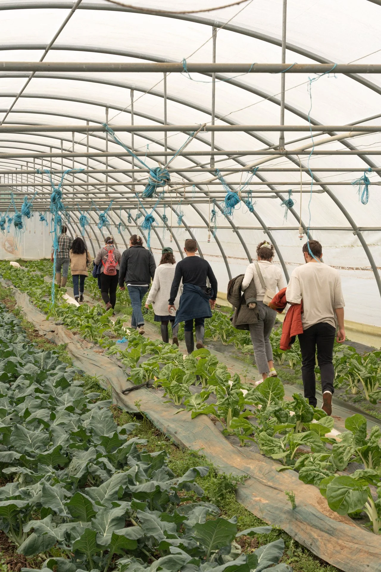 visite d'une ferme lyonnaise biologique