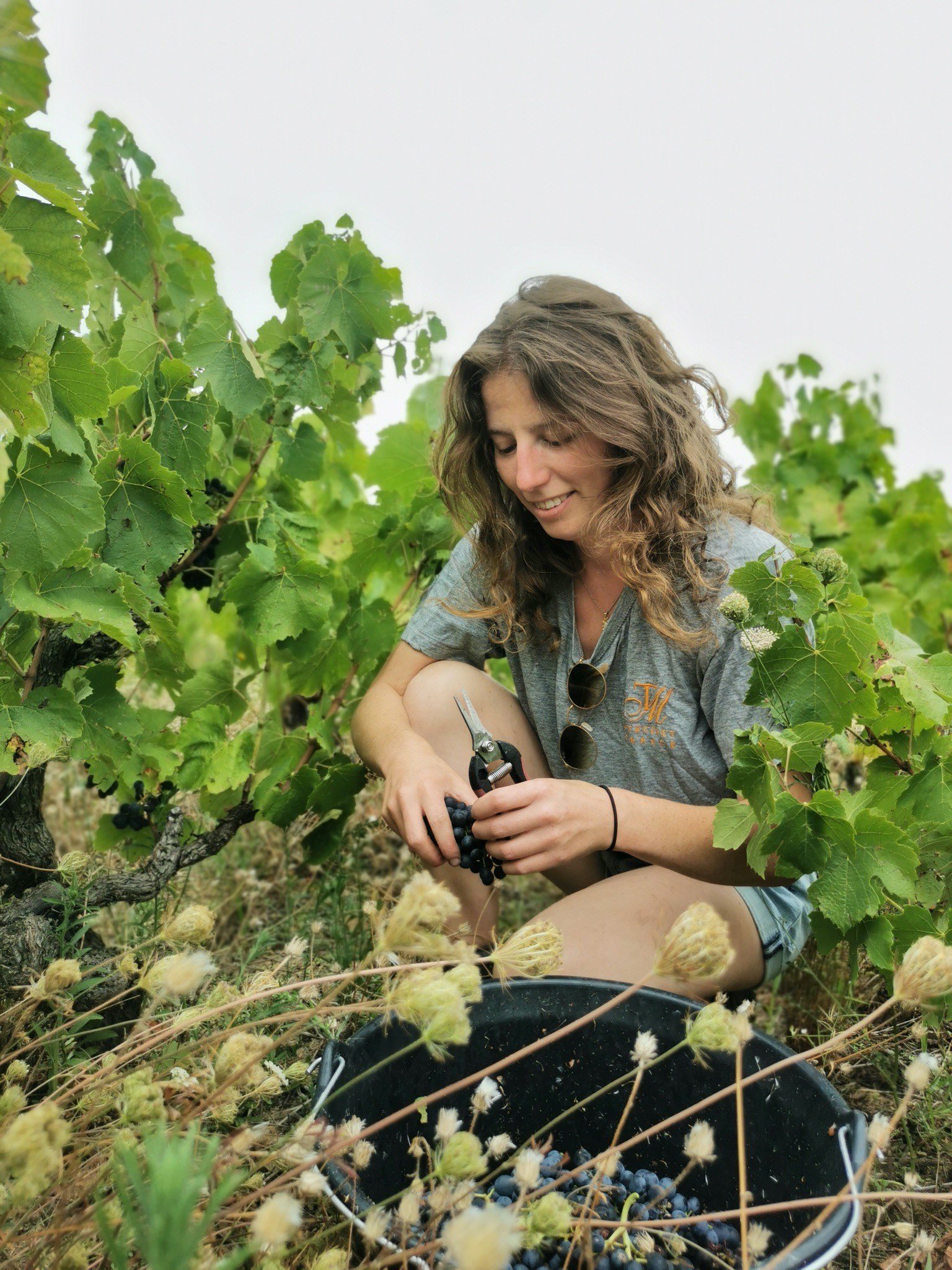 Domaine Bon Pas Anais.jpeg