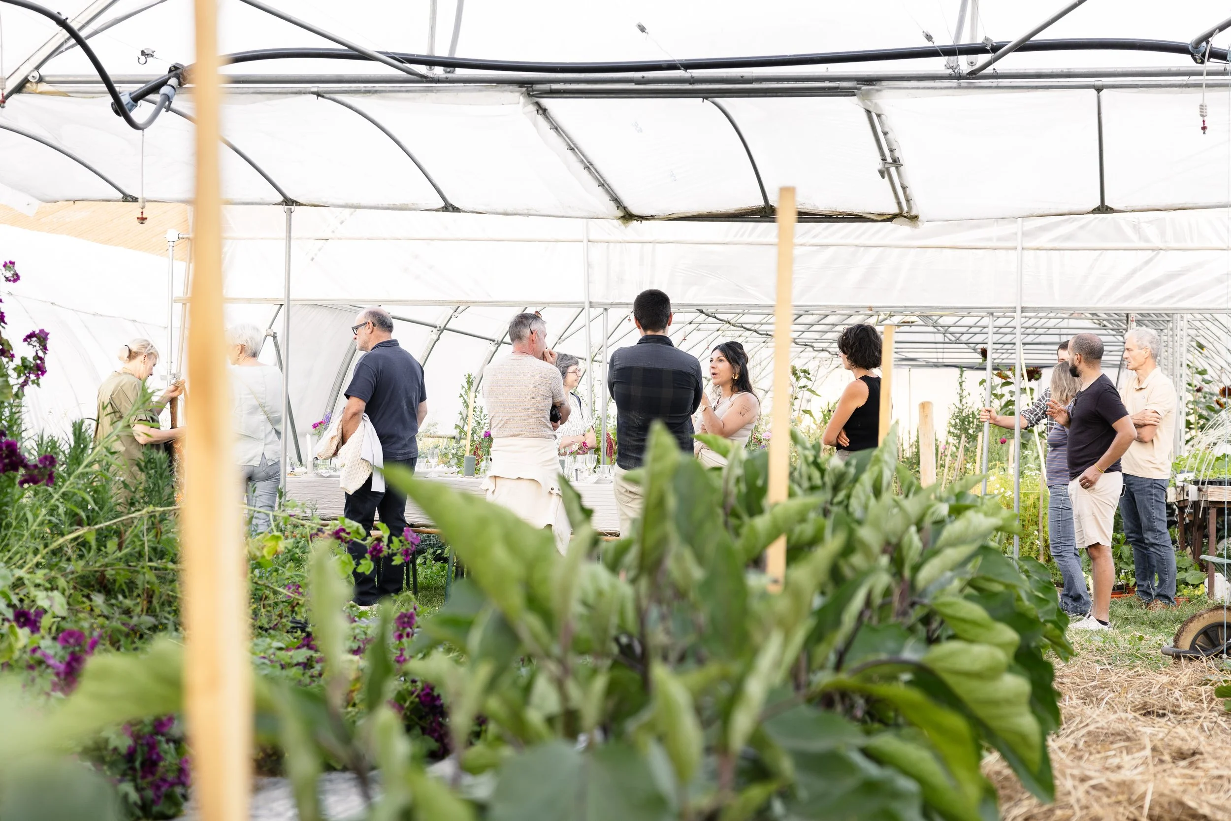 TABLE IMMERSIVE DANS LES FERMES ET DOMAINES VITICOLES