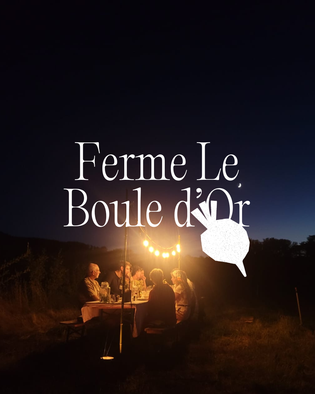 champs-de-table-boule-dor-ferme-experience-culinaire.png