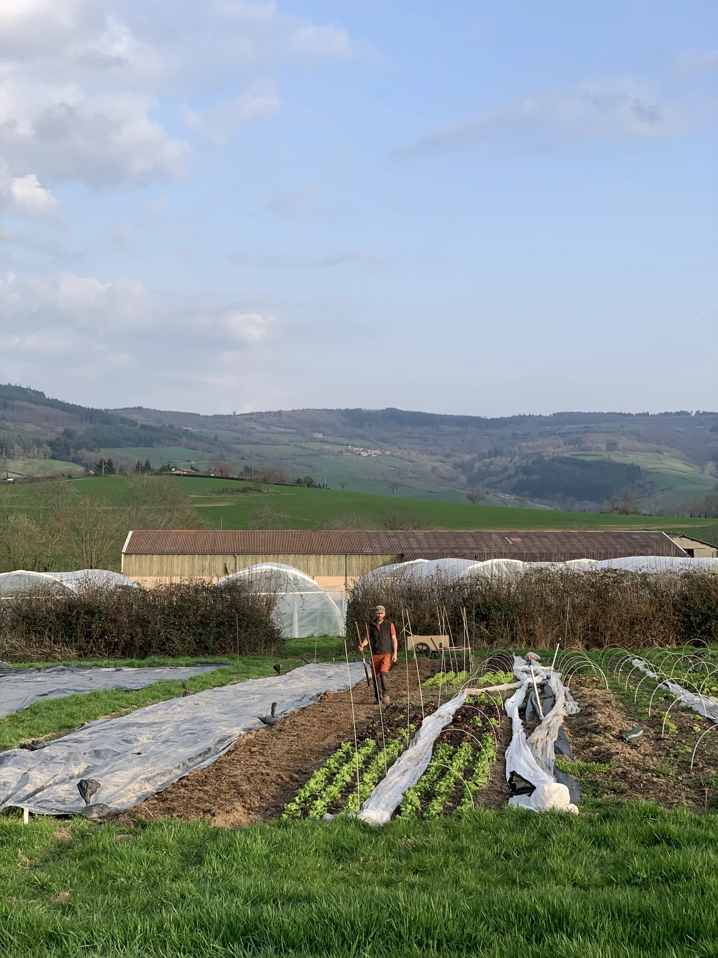 ferme-agriculture-paysanne-haut-beaujolais-lepinette.jpg.jpeg