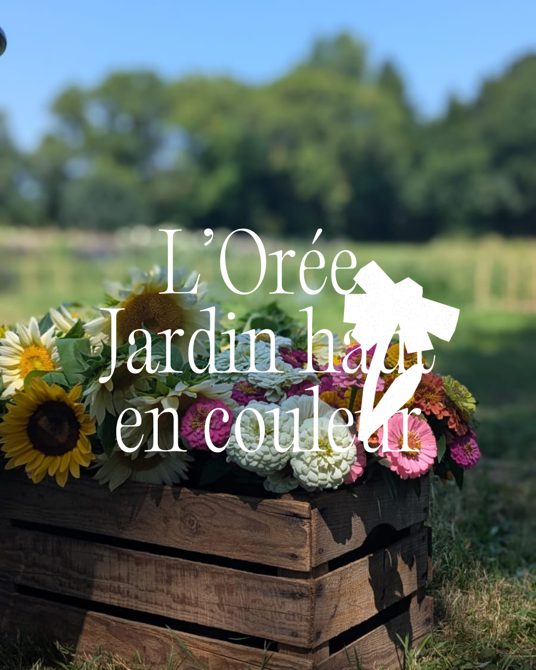 Tablée à la ferme L'Orée Jardin l Dîner au coeur des champs l Dimanche 11 octobre 2026
