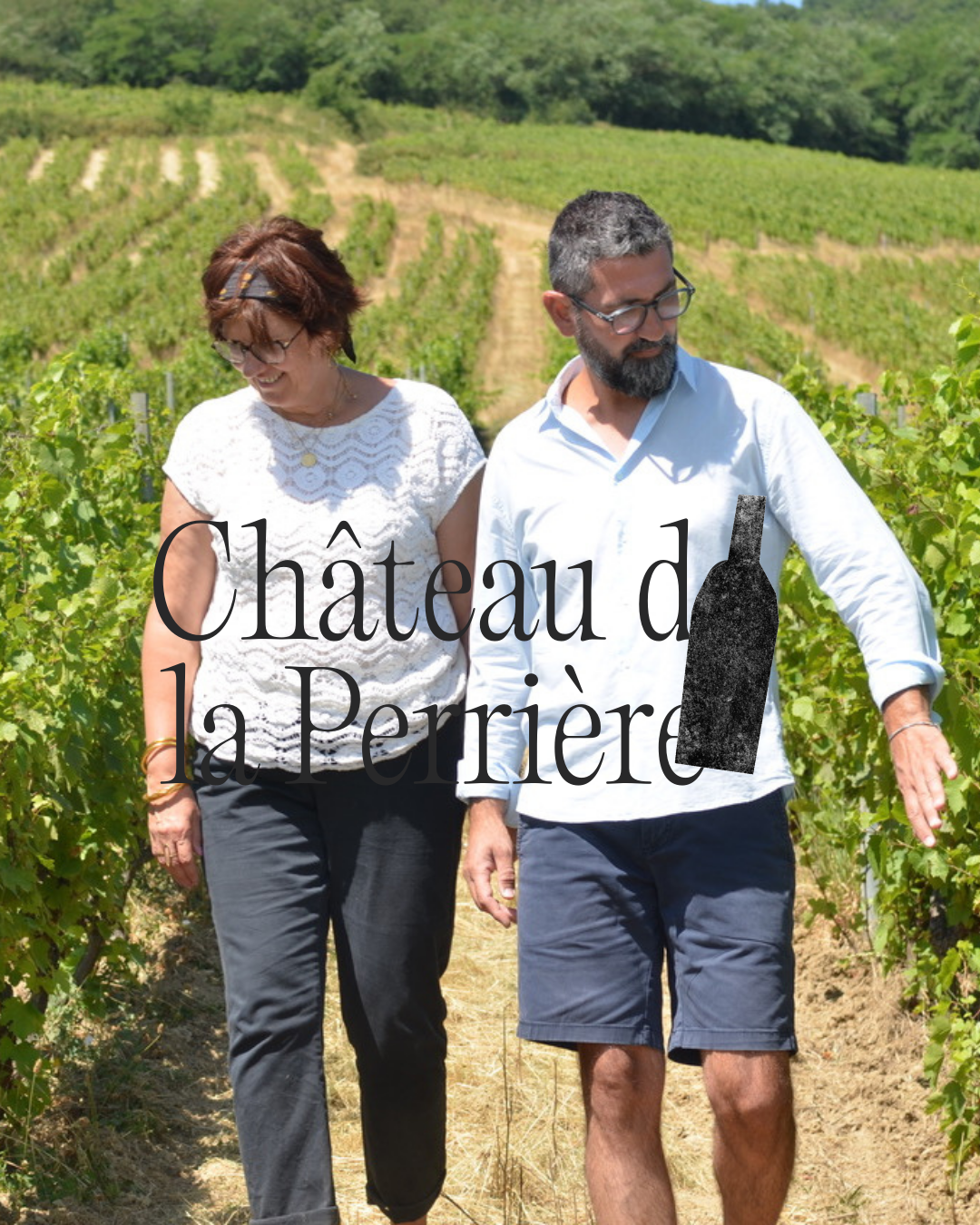 tablee-champs-chateau-de-la-perriere-brouilly-beaujolais.jpg.png