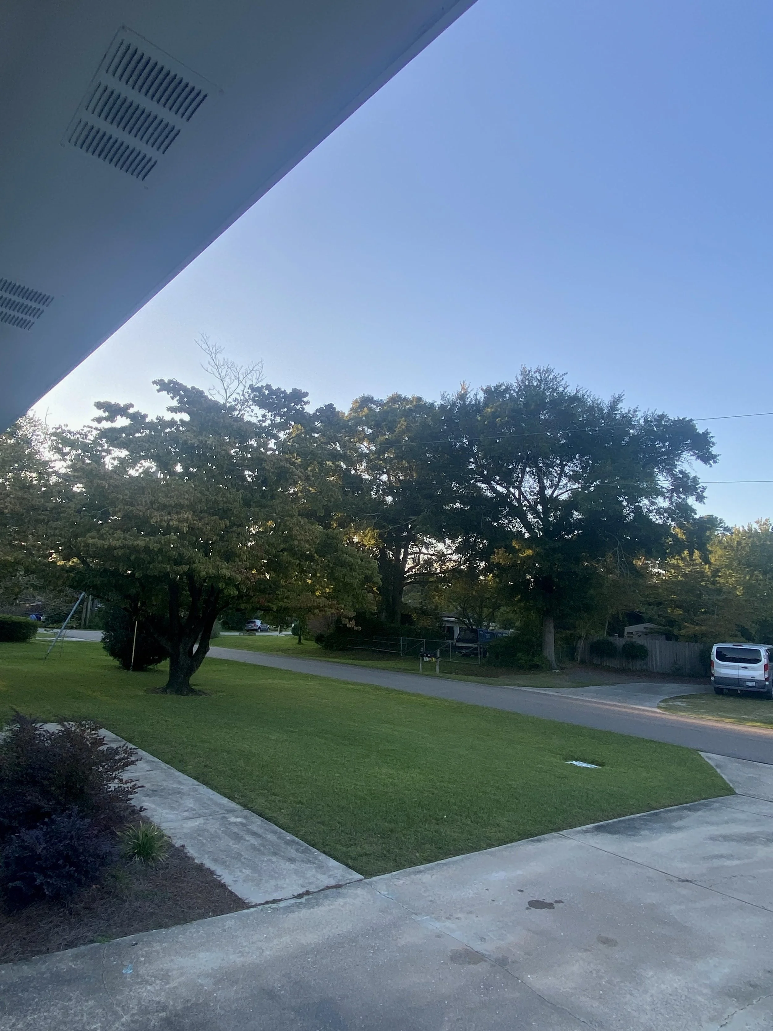 CleanLawn.jpg