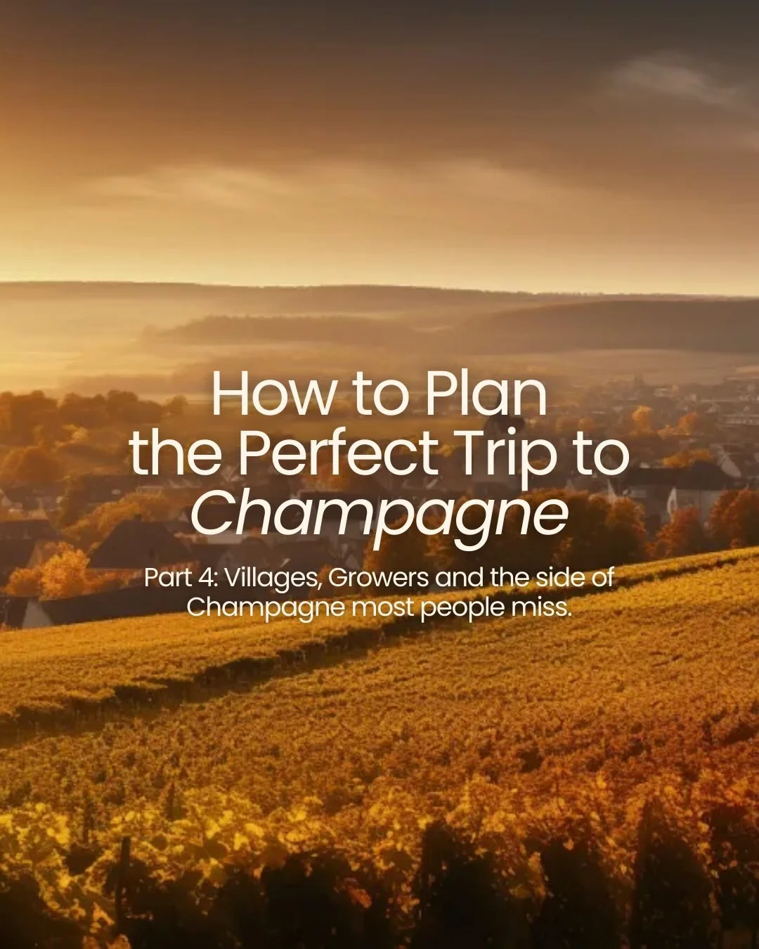 A lot of people visit Champagne, but very few actually experience it 🍾

The cities of champagne are impressive, but I find that the real magic lives in the villages 🥂

This is where you taste single-village wines, meet producers face to face and wa
