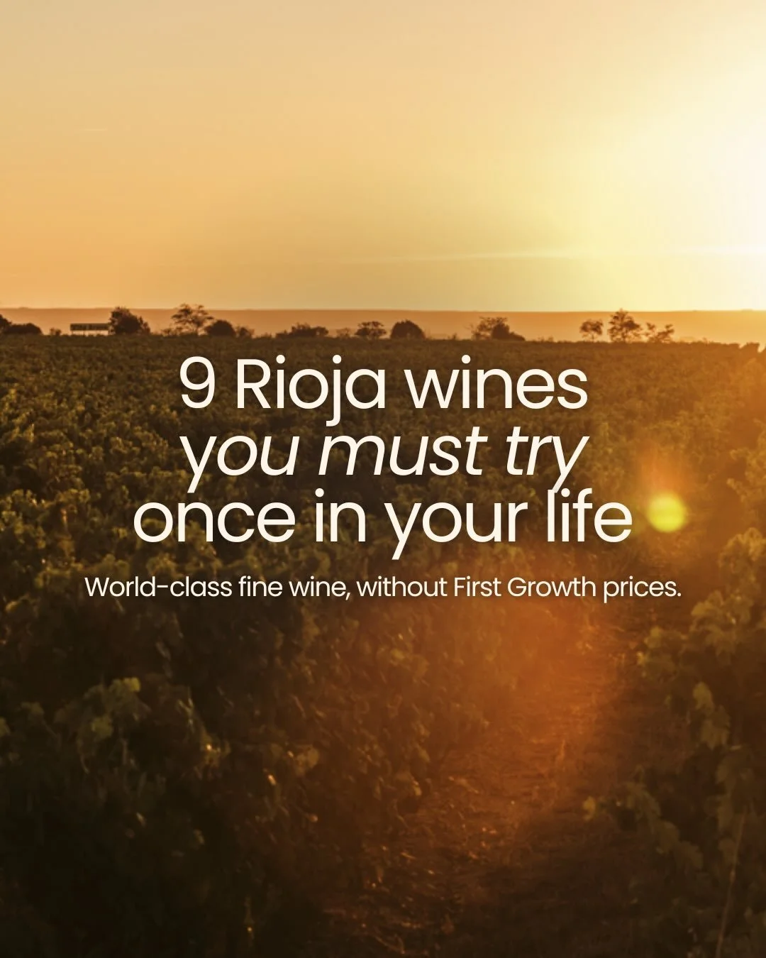 These Rioja icons cost a fraction of First Growth Bordeaux or Grand Cru Burgundy, yet many offer comparable complexity, ageing potential and pedigree. Rioja might just be the greatest fine-wine bargain on the planet 🍷

If you&rsquo;re building a ser