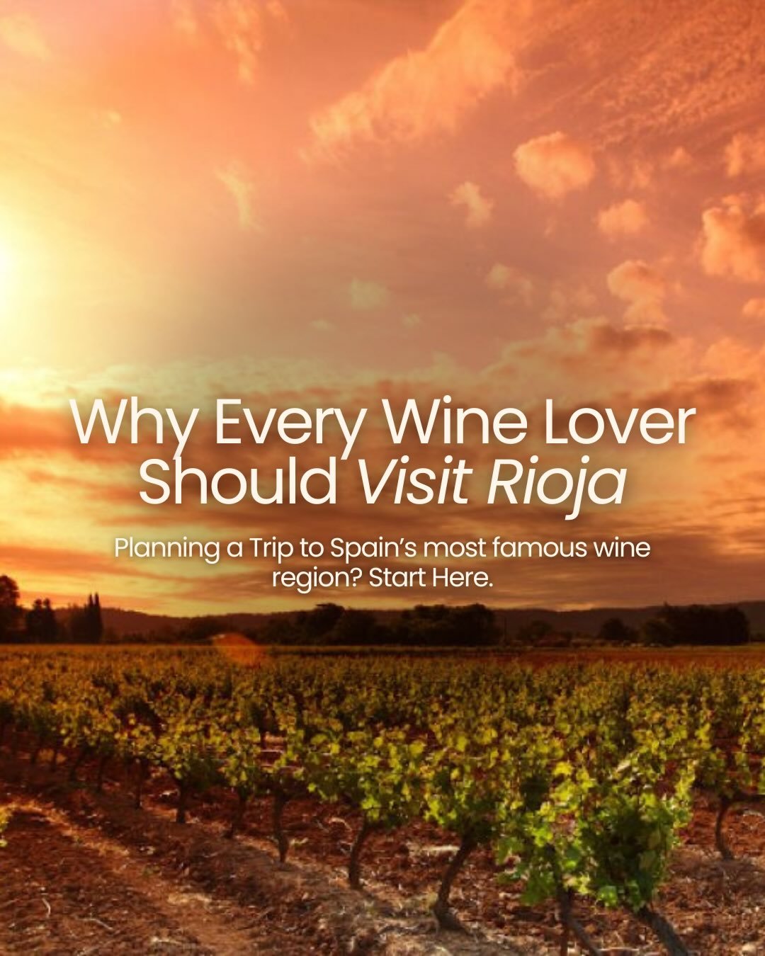 Rioja is often the first Spanish wine people fall in love with. And it&rsquo;s time to add a trip to the region to your bucketlist ✈️

Historic underground cellars in Haro. Avant-garde winery architecture. Long lunches in Laguardia. Tapas in Logro&nt