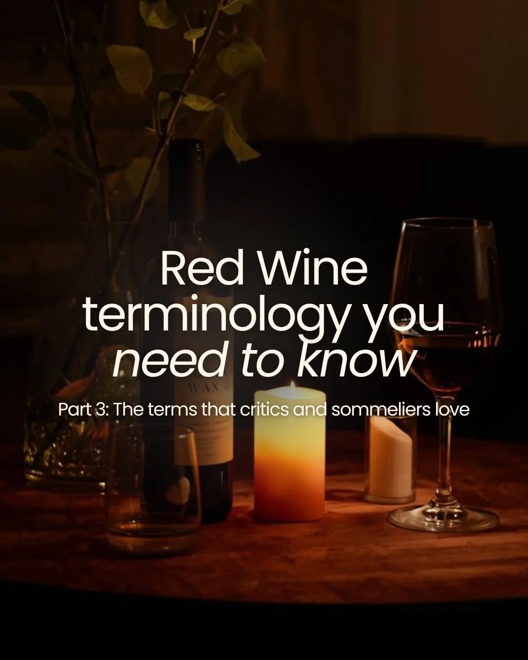 Ever hear someone call a wine &ldquo;elegant&rdquo; or &ldquo;concentrated&rdquo; and just nod along? We&rsquo;ve all been there&hellip; 

In this post, I&rsquo;m breaking down even more of the red wine terms you&rsquo;ll hear all the time&hellip; an