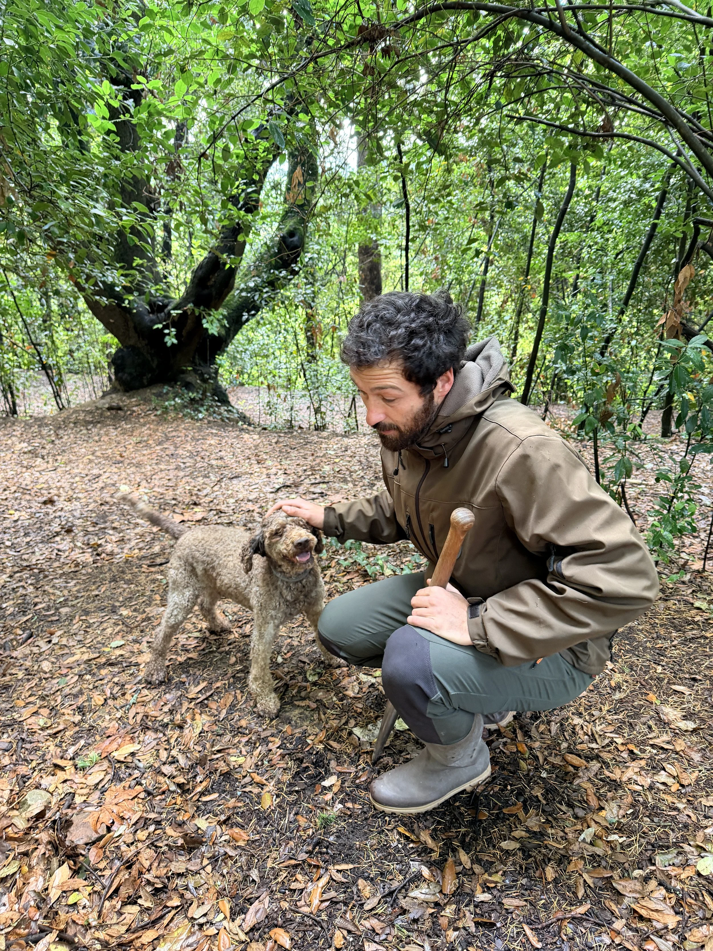 A truffle hunter wearing a brown jacket, green pants, and rubber boots kneeling on the forest floor while petting a brown, curly-haired truffle hunting dog. The background is lush green with trees and foliage. Truffle hunting in Tuscany.