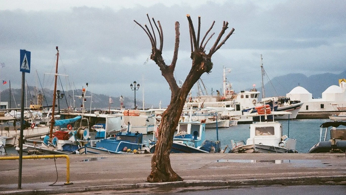 Aegina 2024