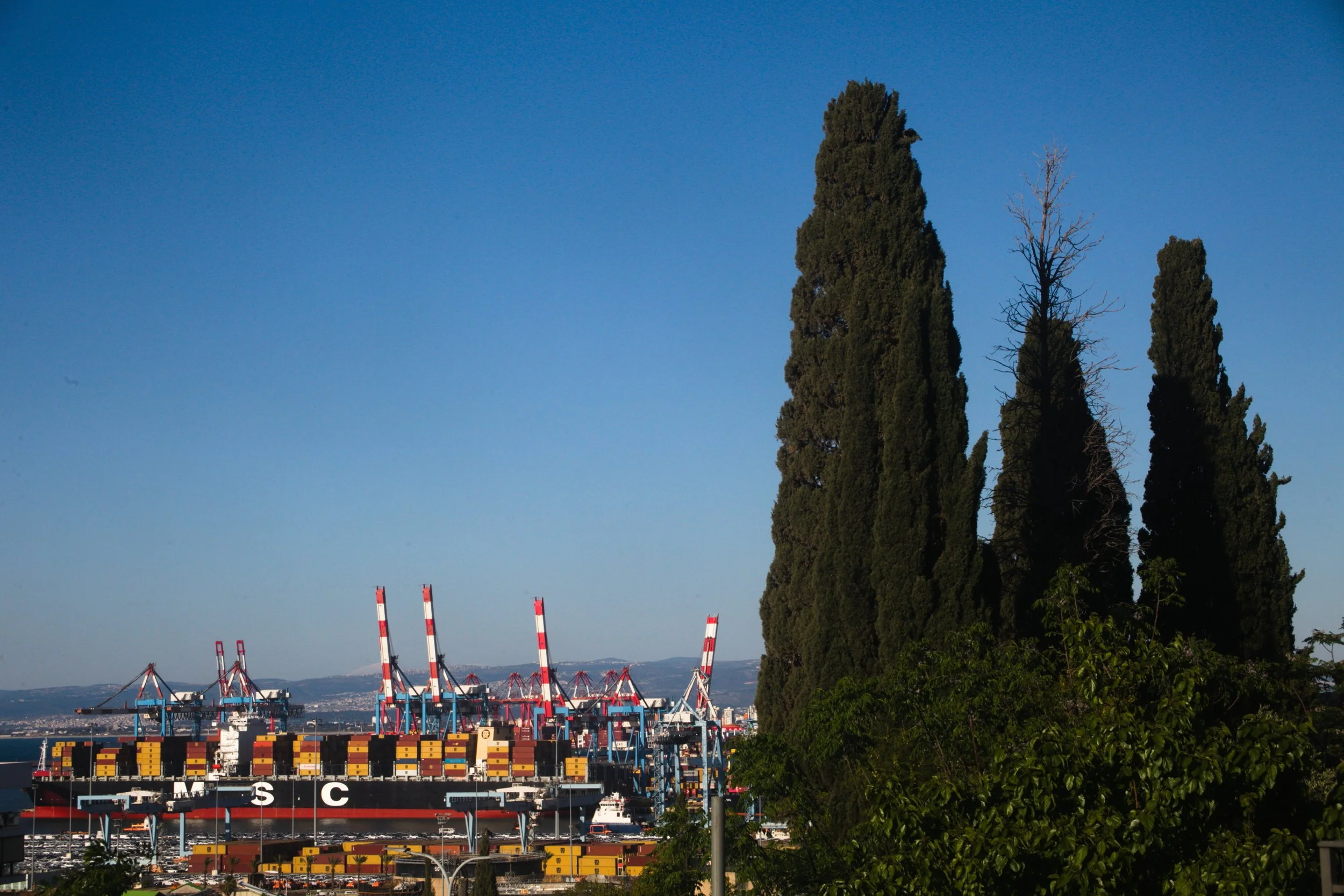 Haifa 2025