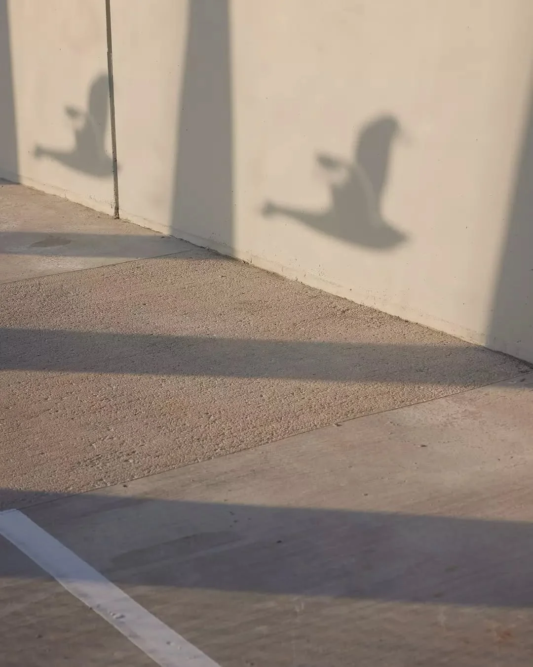 Geelong architecture, Surfcoast architecture, Melbourne architecture, urban design design, regional architecture, Barwon Heads Road duplication, level crossing removal, Big Build, road over rail design, bridge, shared user path, black swan, tradition