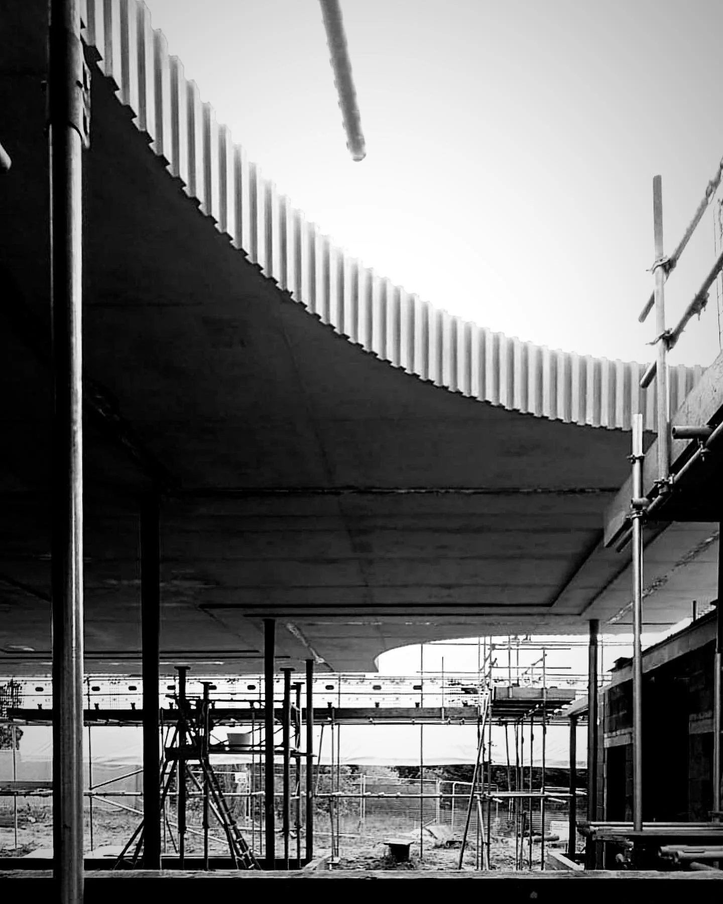 Residential architecture design, concrete roof, fluted fascia