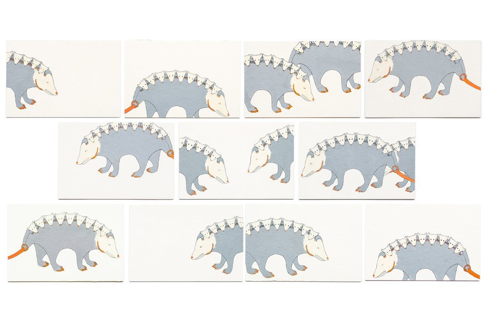 Postcards From Possums