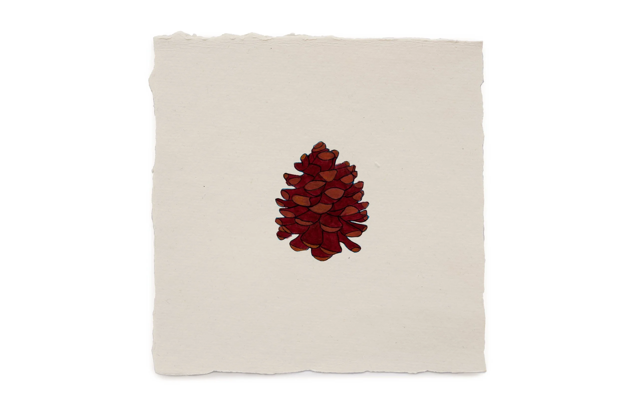 Fire Diary (Lonely Pinecone)