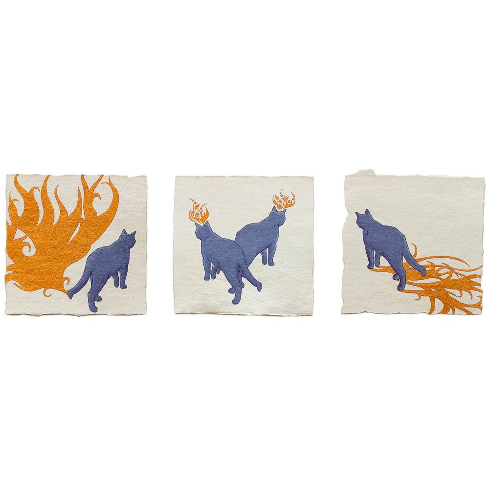 Fire Diary (Assorted Ruthies)
