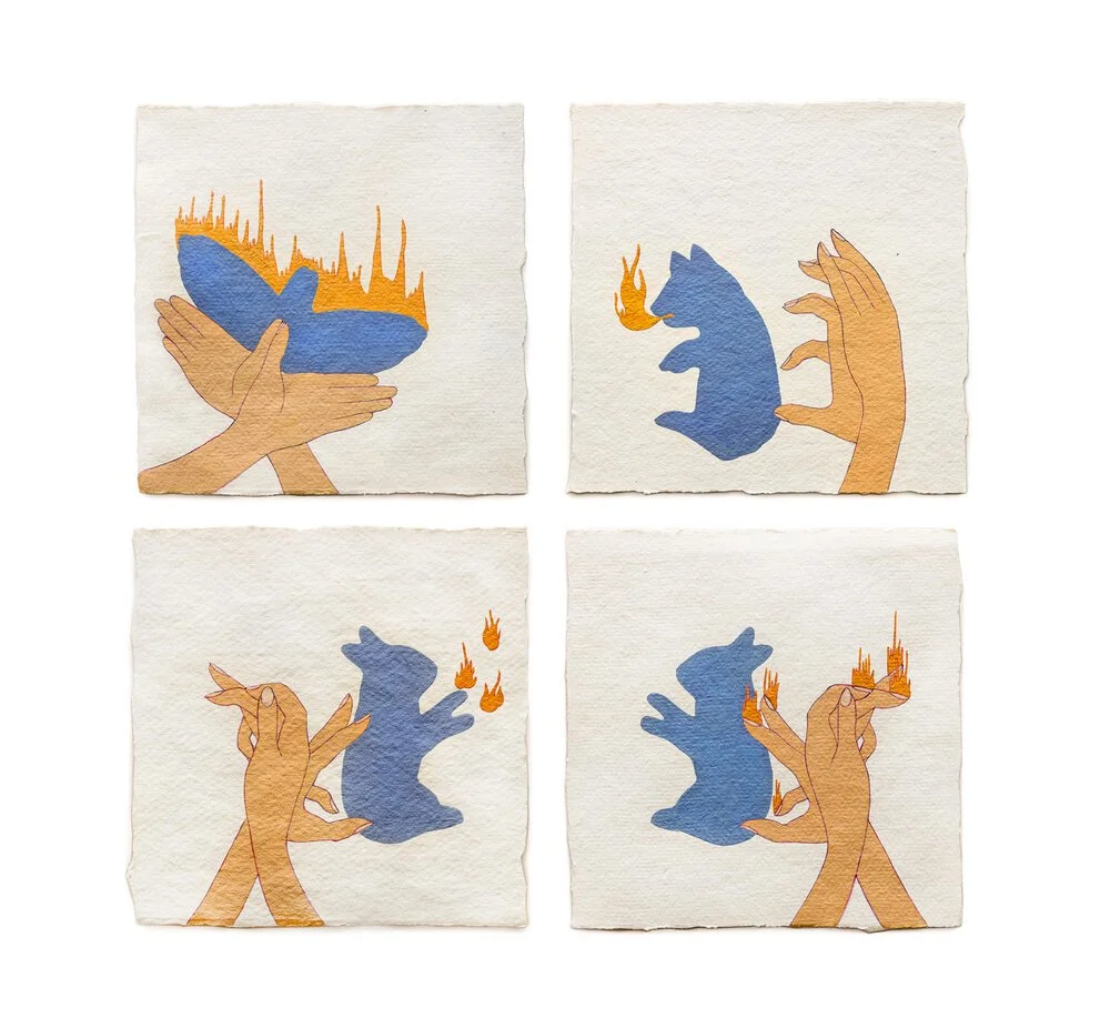 Fire Diary (Hand Shadows)