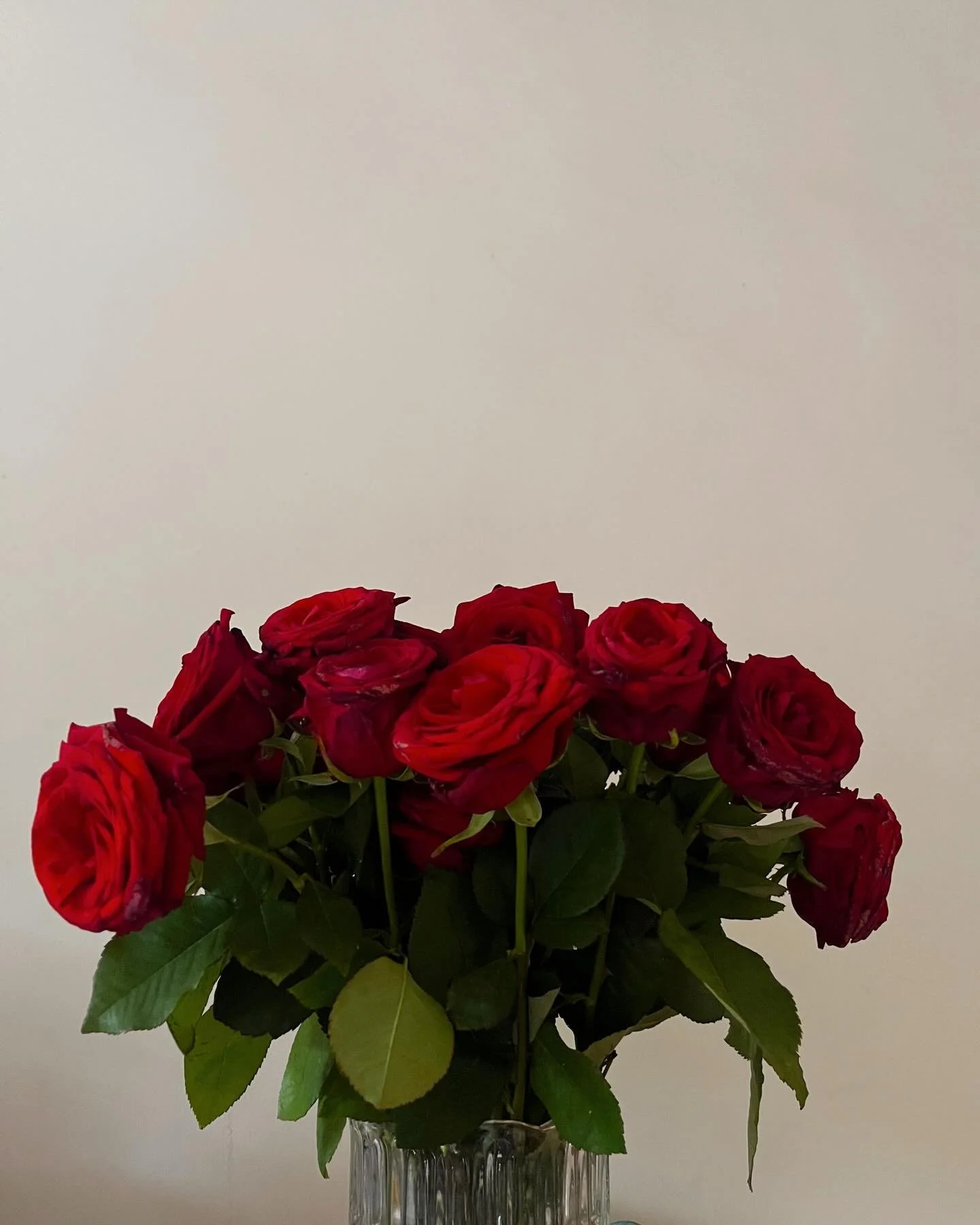 A girls best friend, flowers and jewelry (now 20% off!!)

Online exclusive, permanent jewelry and solid gold not included!