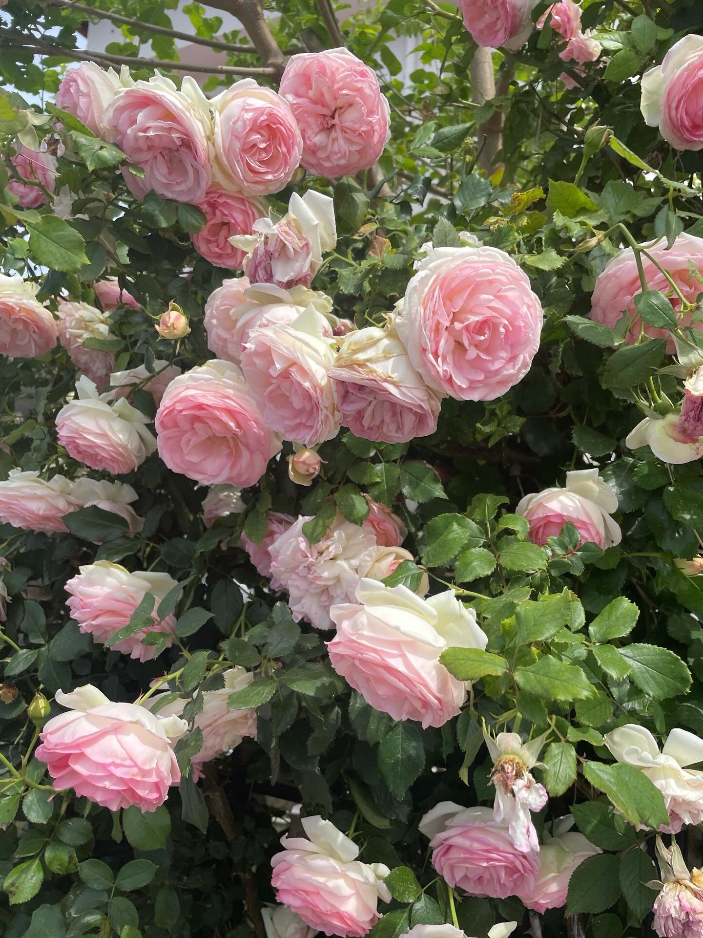 Spring needs to load a little fasterrr!