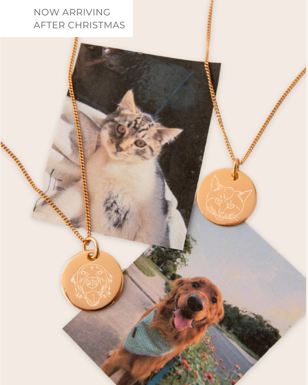 Custom Pet Portrait Necklace
